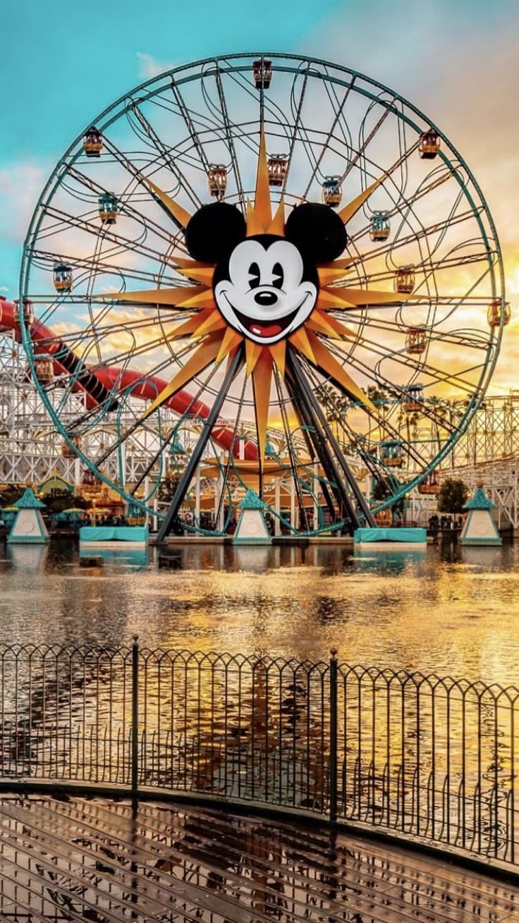 736x1309 Disney °o°
