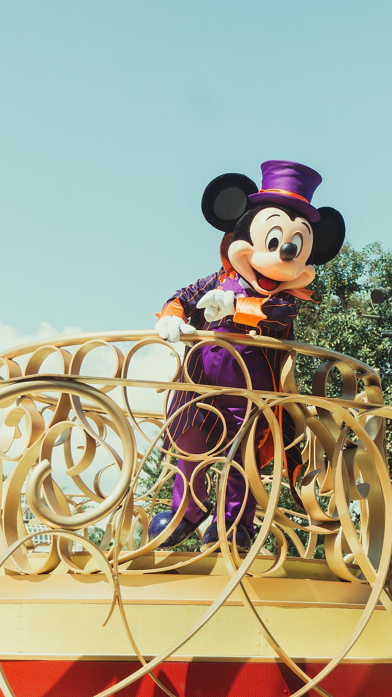 800x1422 Mickey Mouse, Amusement Park, HD phone wallpaper