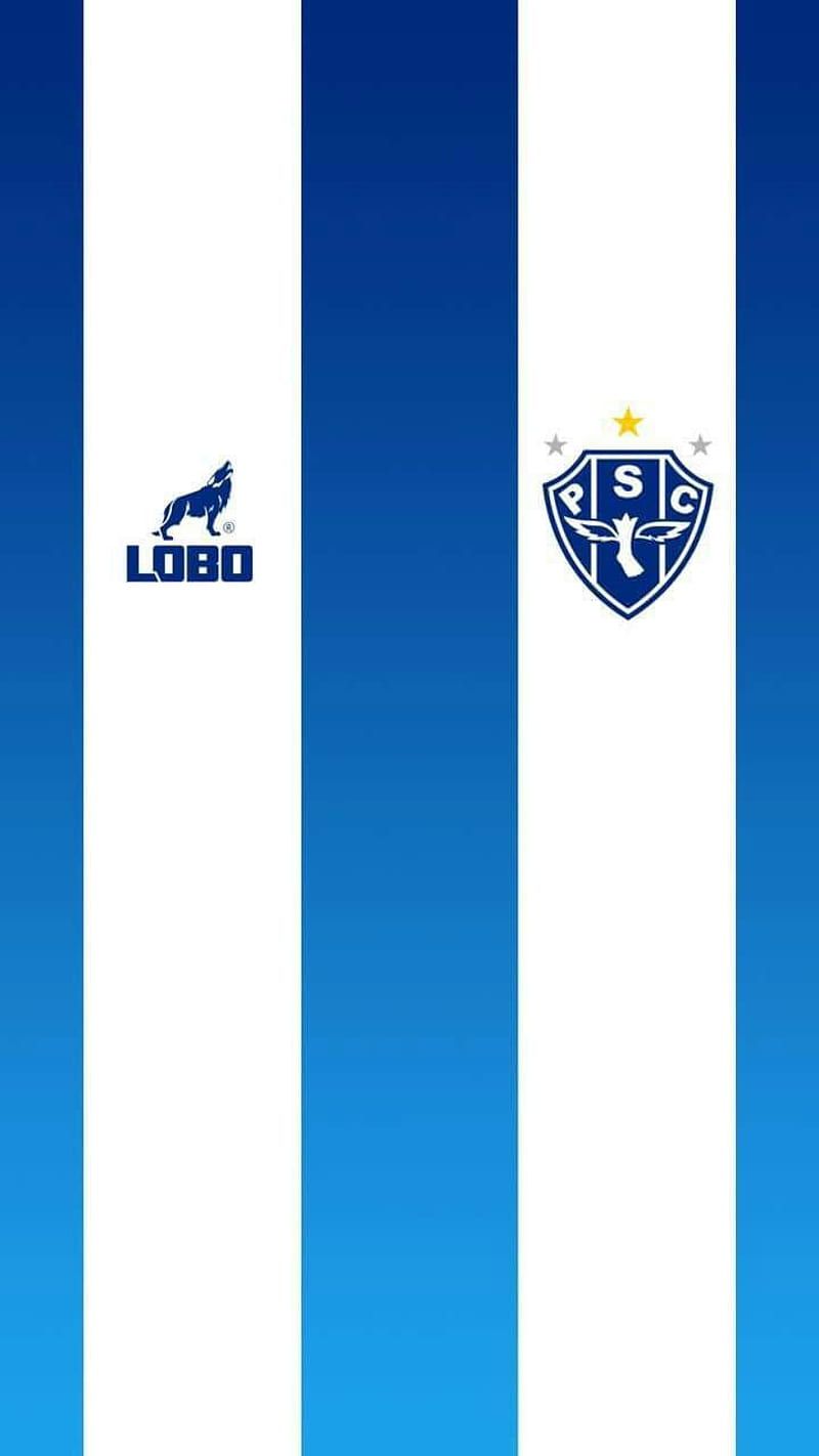 800x1422 HD paysandu sc wallpaper
