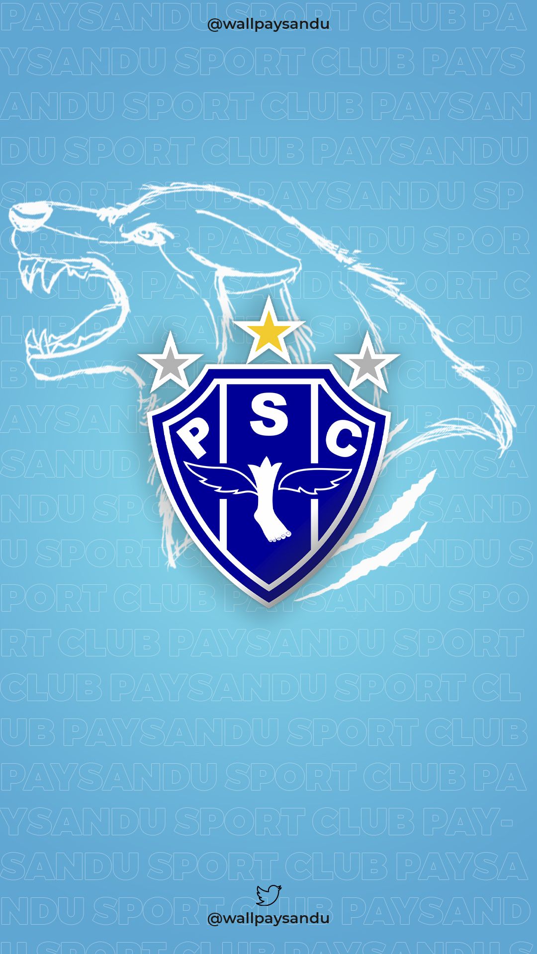 1080x1920 Paysandu Wallpaper / X