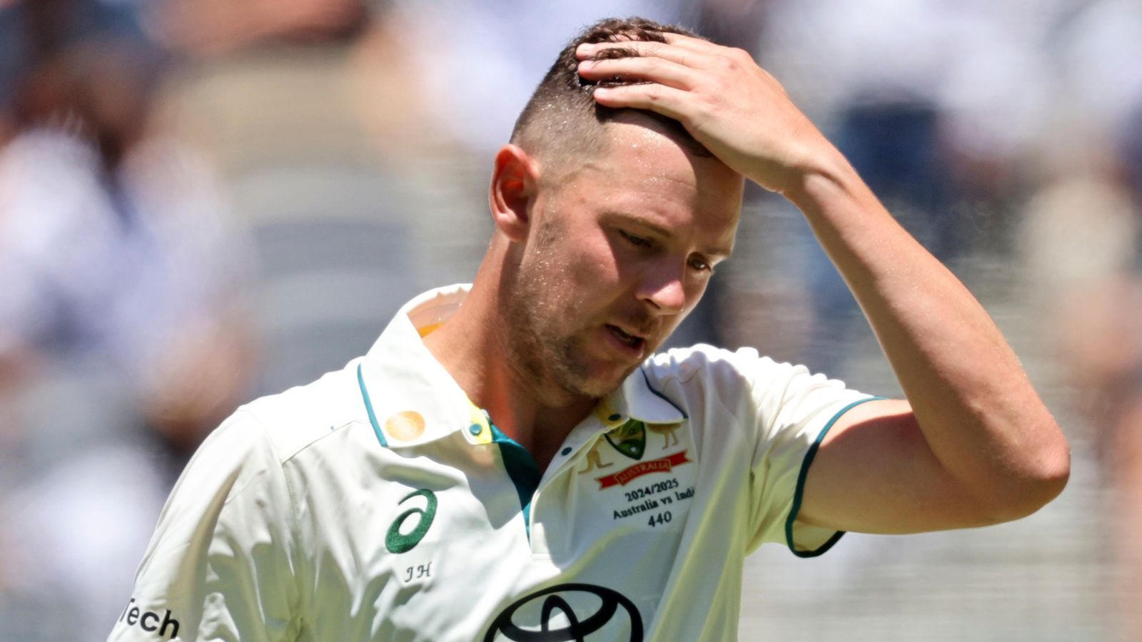 1600x900 Australia vs India: Josh Hazlewood ruled out of second Test as Sean Abbott and Brendan Doggett called up