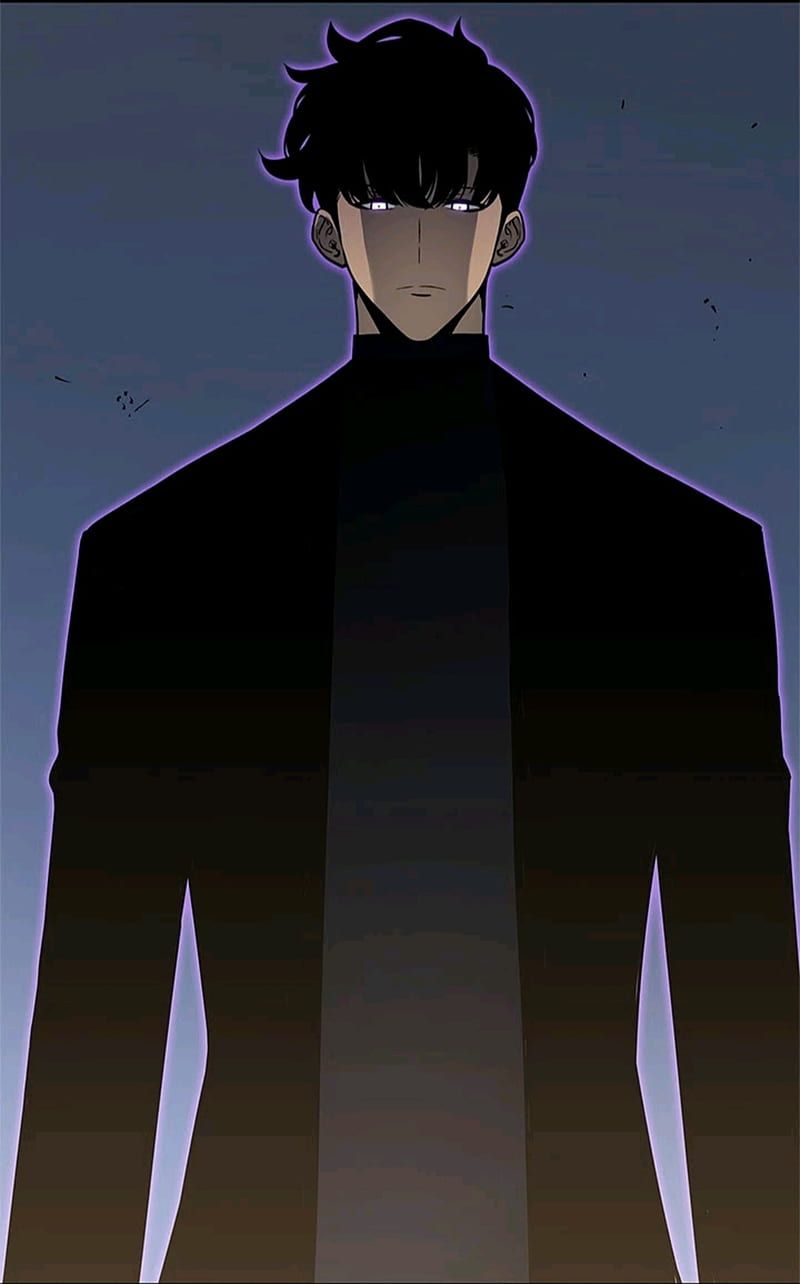 800x1284 Solo Leveling, black, shadow, solo leveling, sung jin woo, HD phone wallpaper