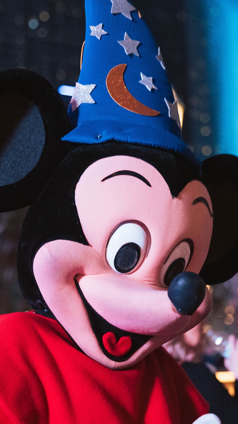 800x1422 Mickey Mouse, Theme Park, HD phone wallpaper