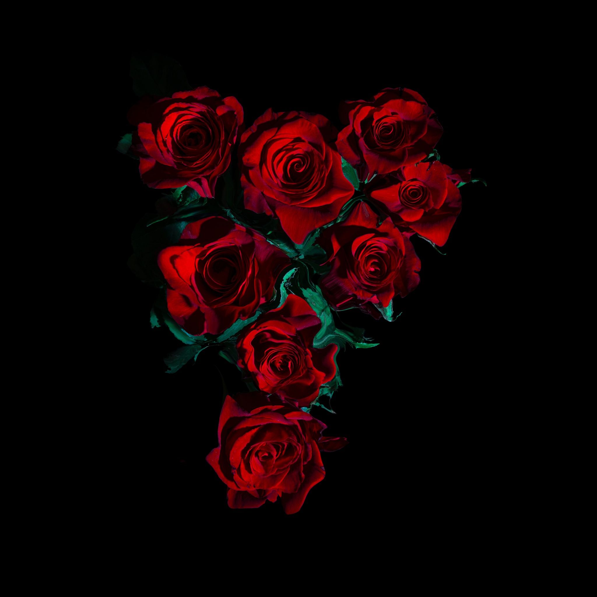 2048x2048 Red Roses Wallpaper 4K, Flower bouquet, Black background