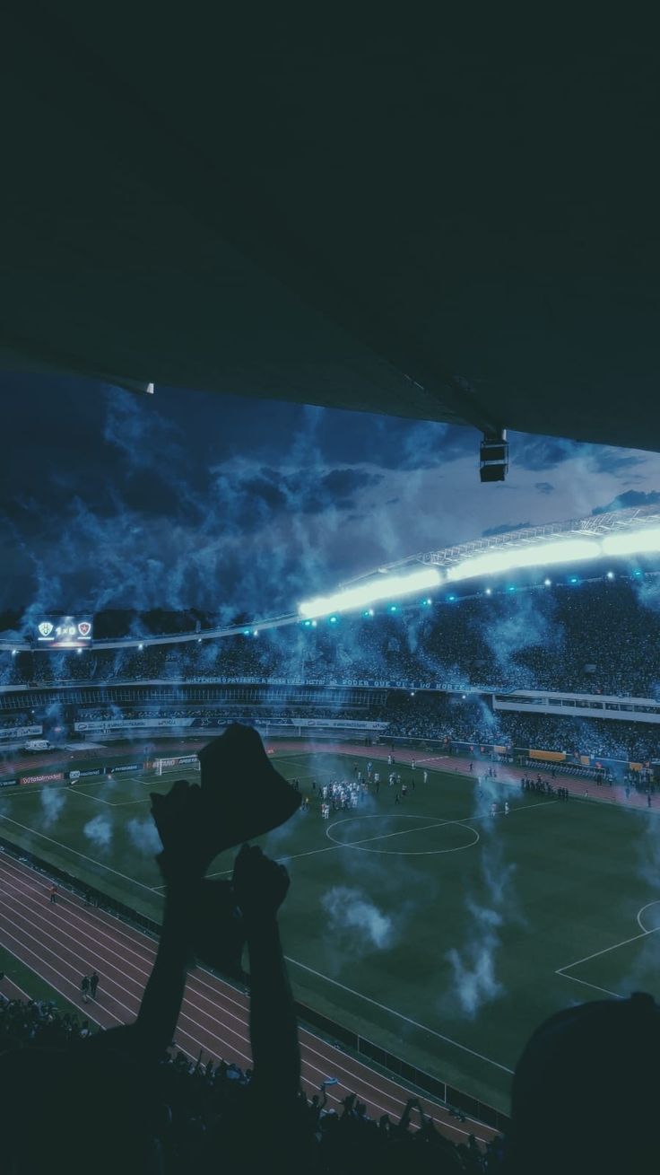 736x1309 Paysandu Wallpaper