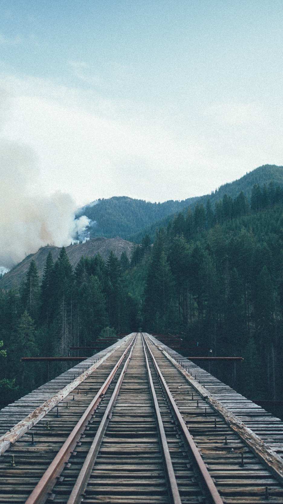 937x1669 Train to Forest Railway Tracks Forest Mountains Wallpaper