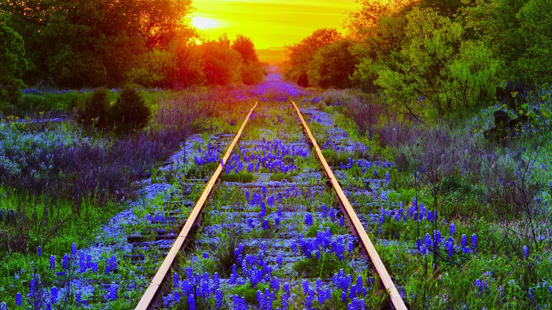 1920x1080 Pretty Train Track Wallpaper