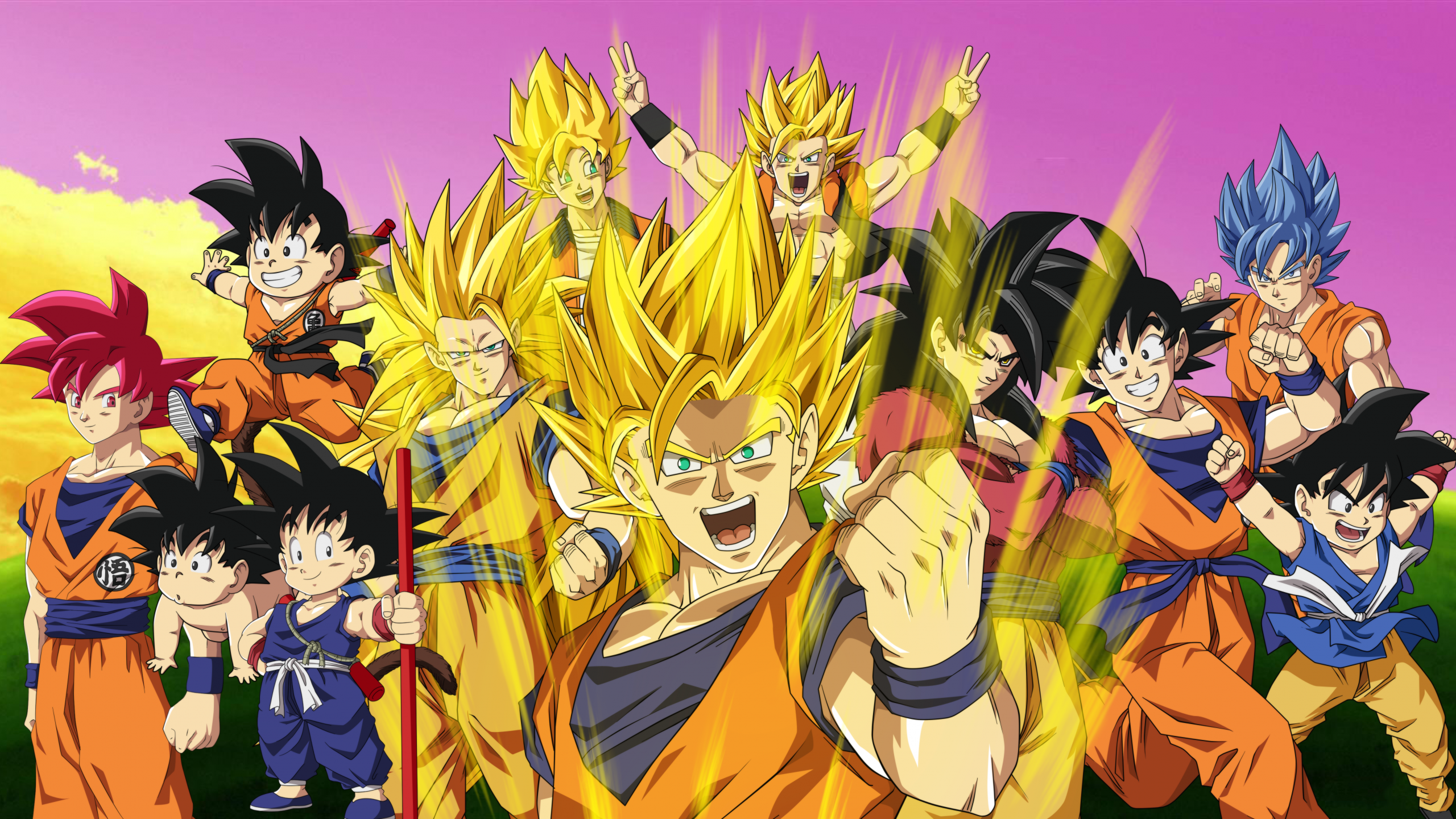 2560x1440 Dragon Ball Z Cast Wallpaper 281 2560x1440