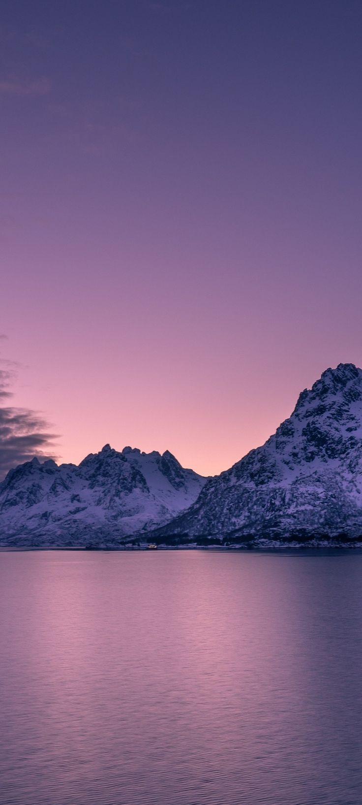 736x1635 Wallpaper