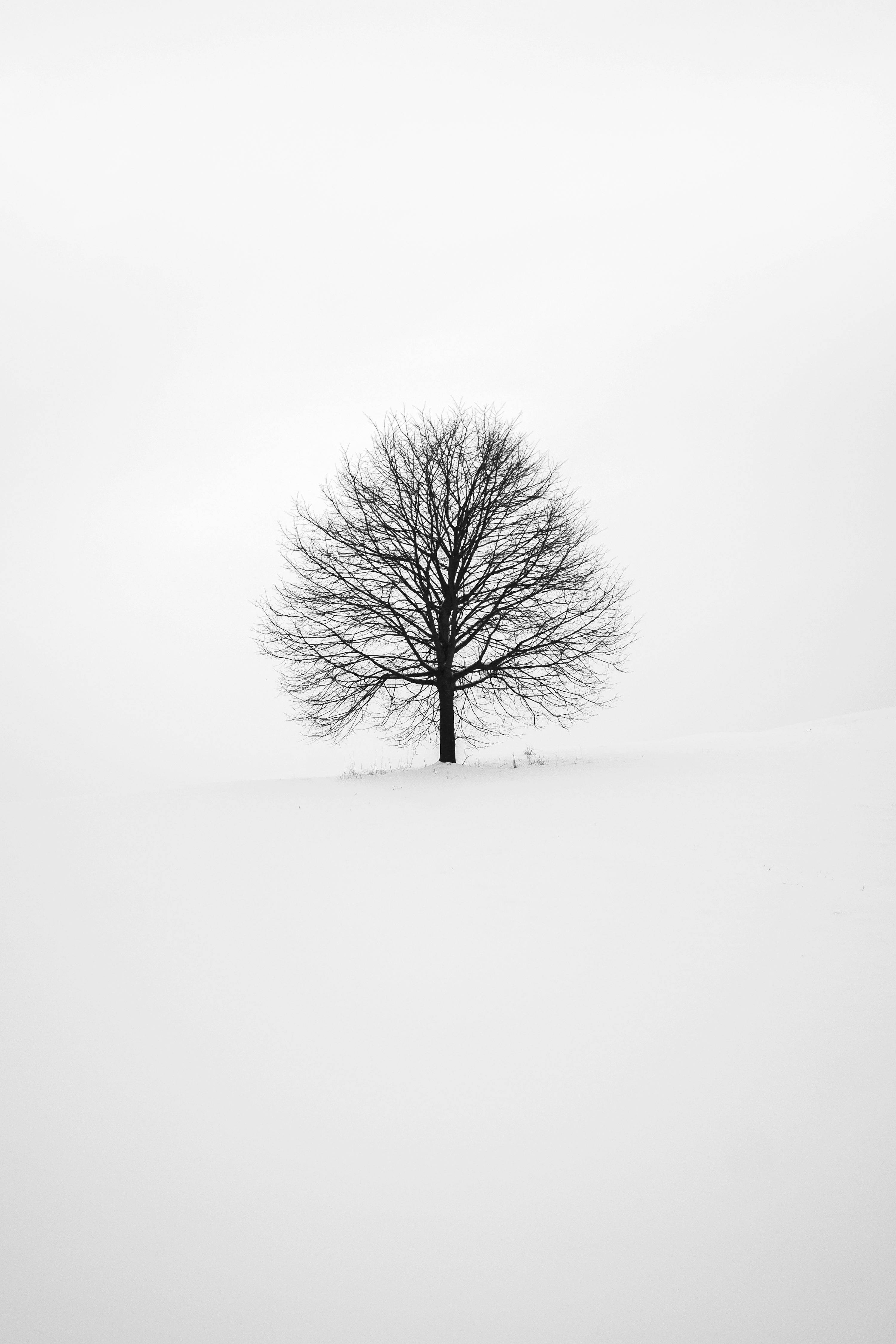 3000x4500 Tablet Wallpaper: Free HD Download [HQ]