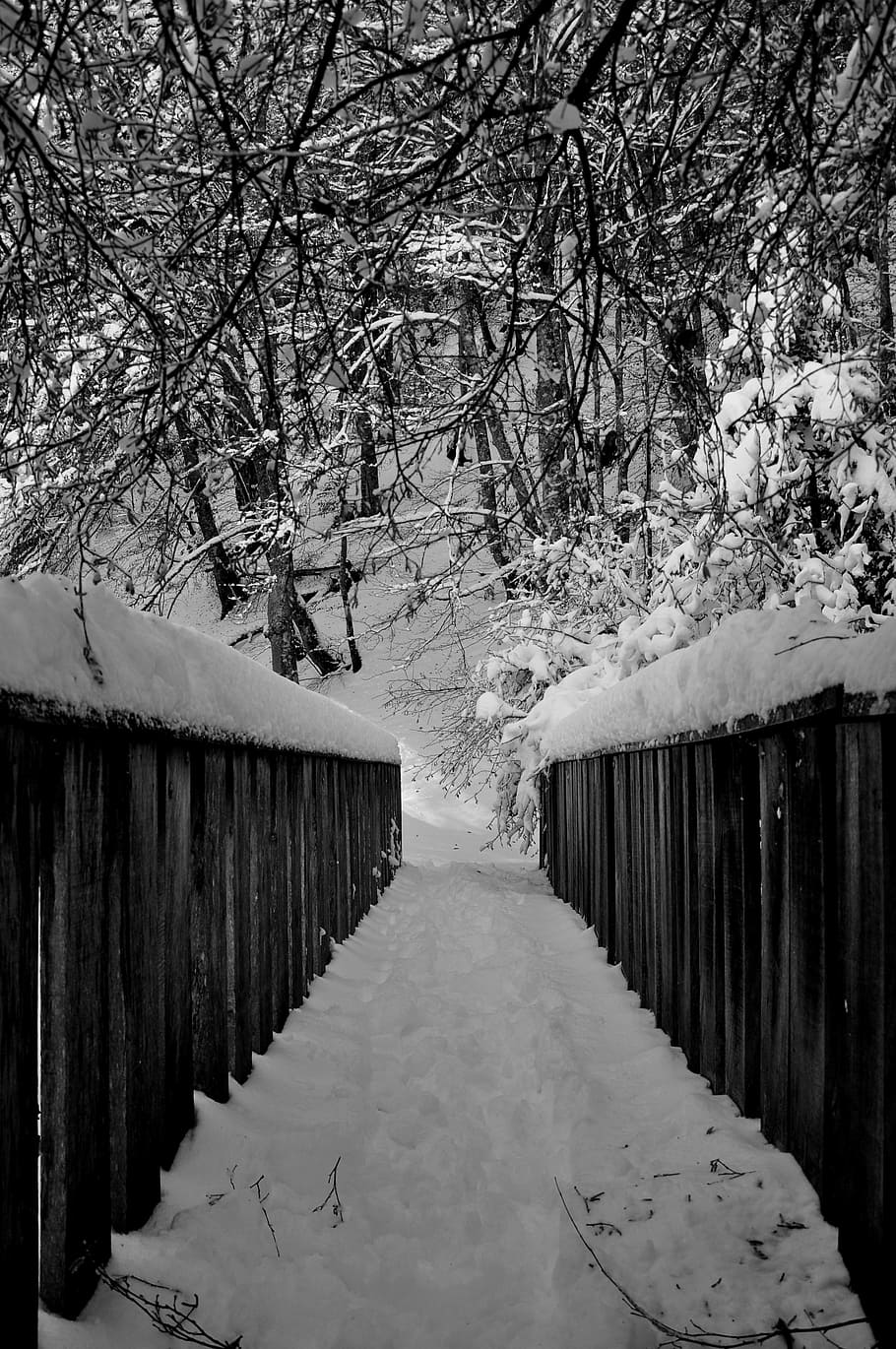 910x1370 HD wallpaper: black, white, black white, photography, picture