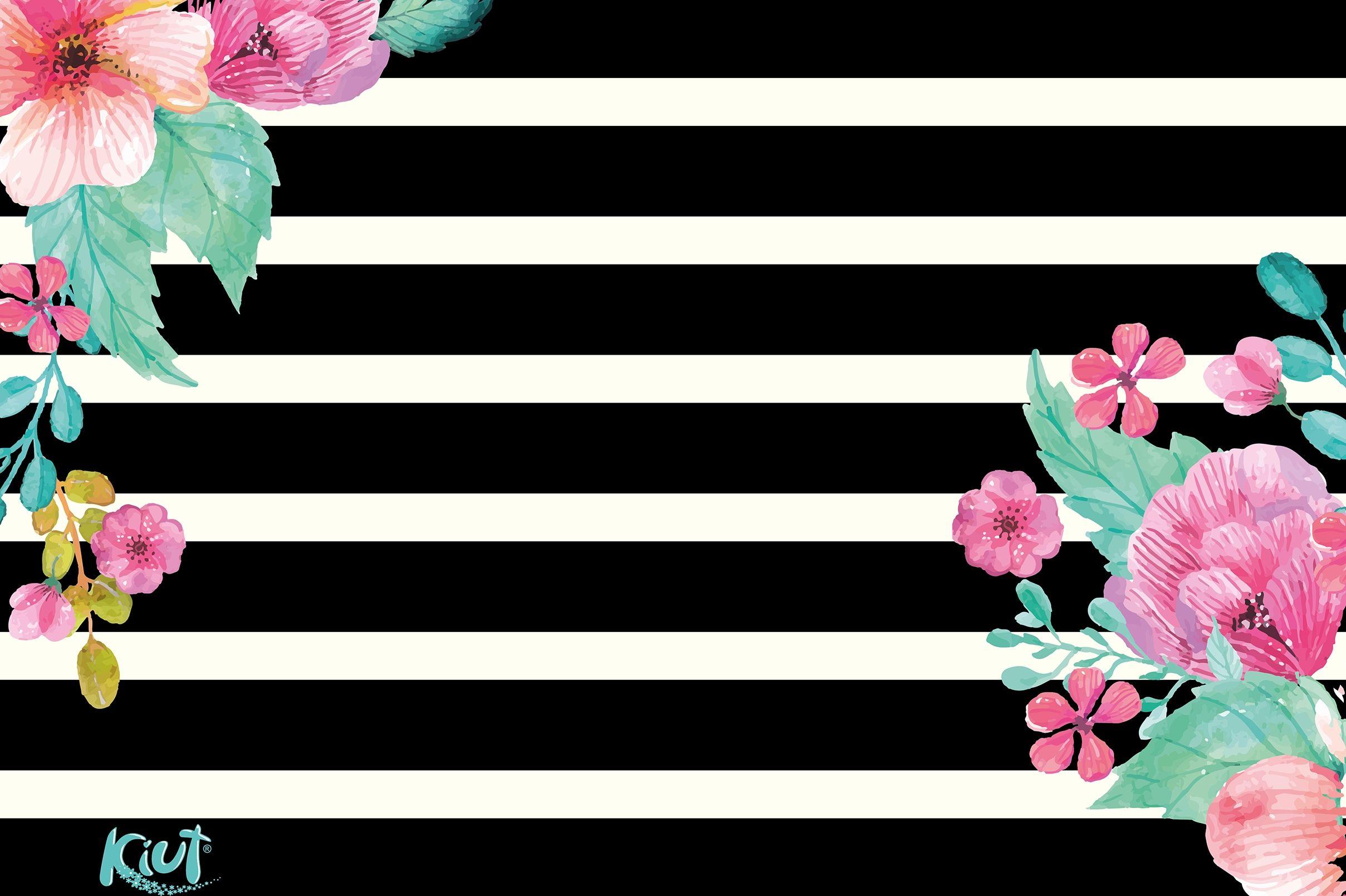 2417x1609 Kiut Flowers in black and white lines Wallpaper