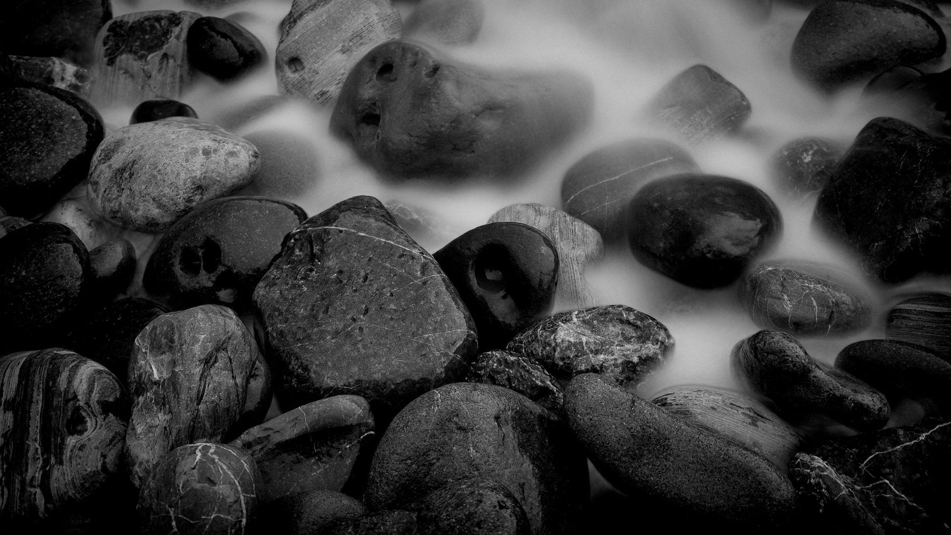 1920x1080 Black White Wallpaper And White HD Nature, Download