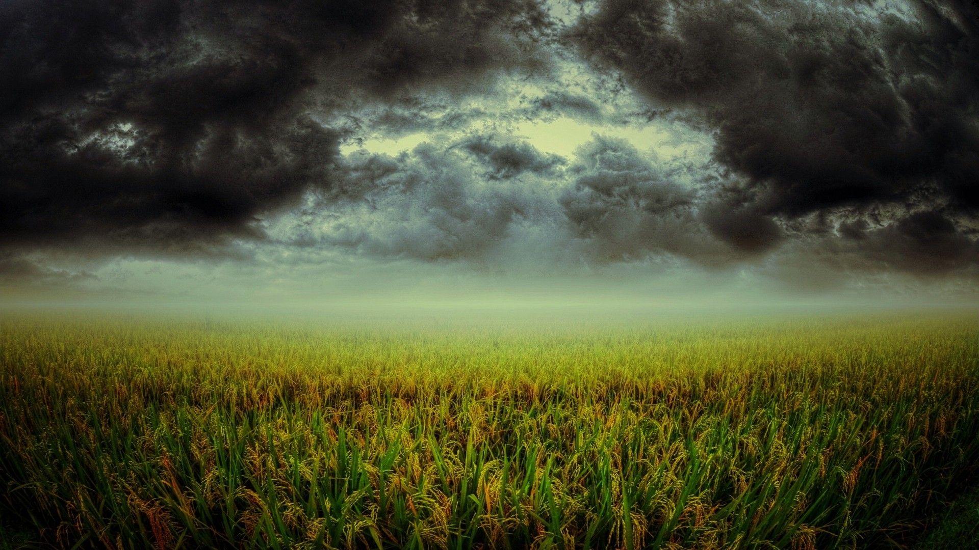 1920x1080 green, clouds, landscapes, nature, storm, fields, plants, skies