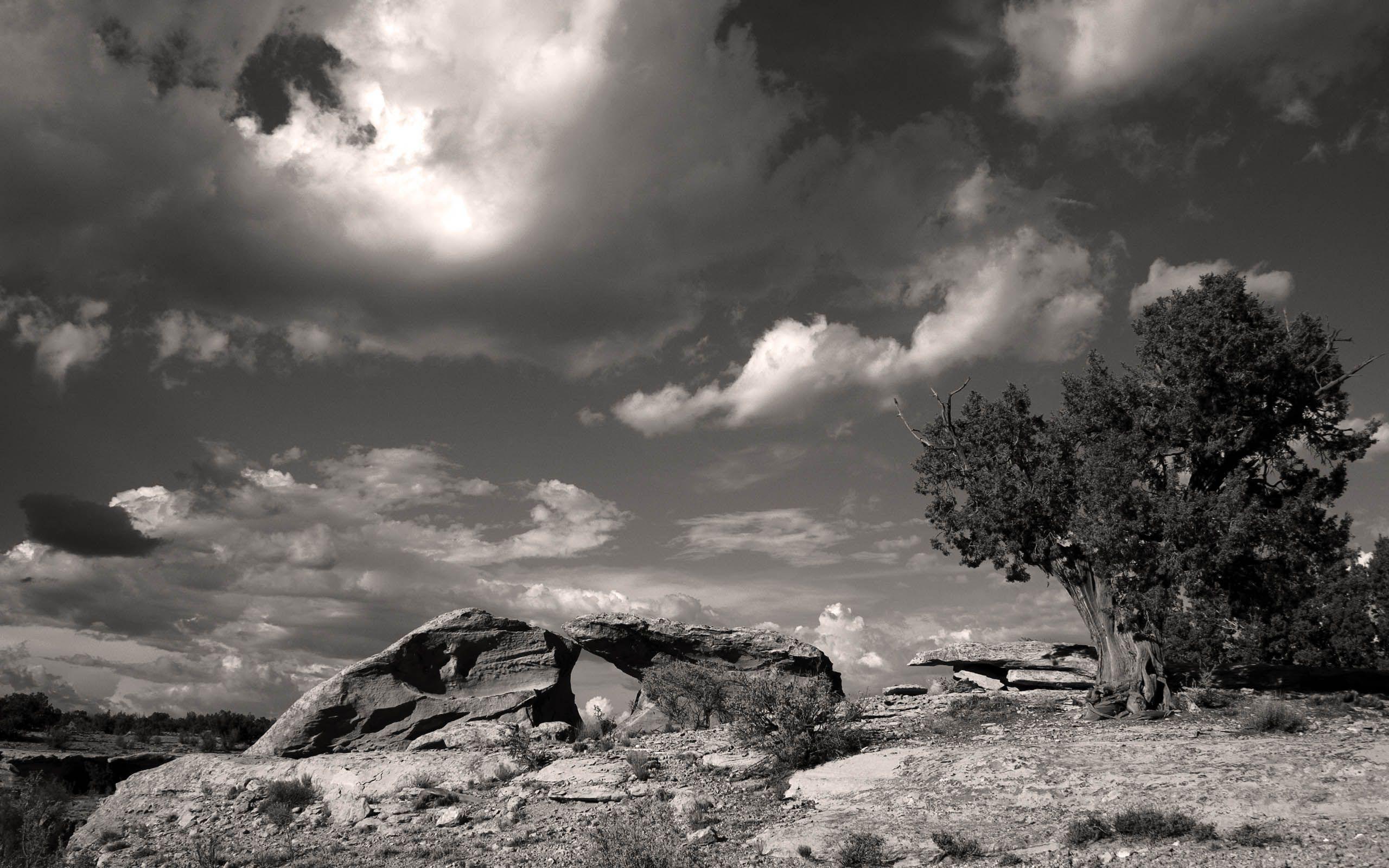 2560x1600 Black And White HD Wallpaper