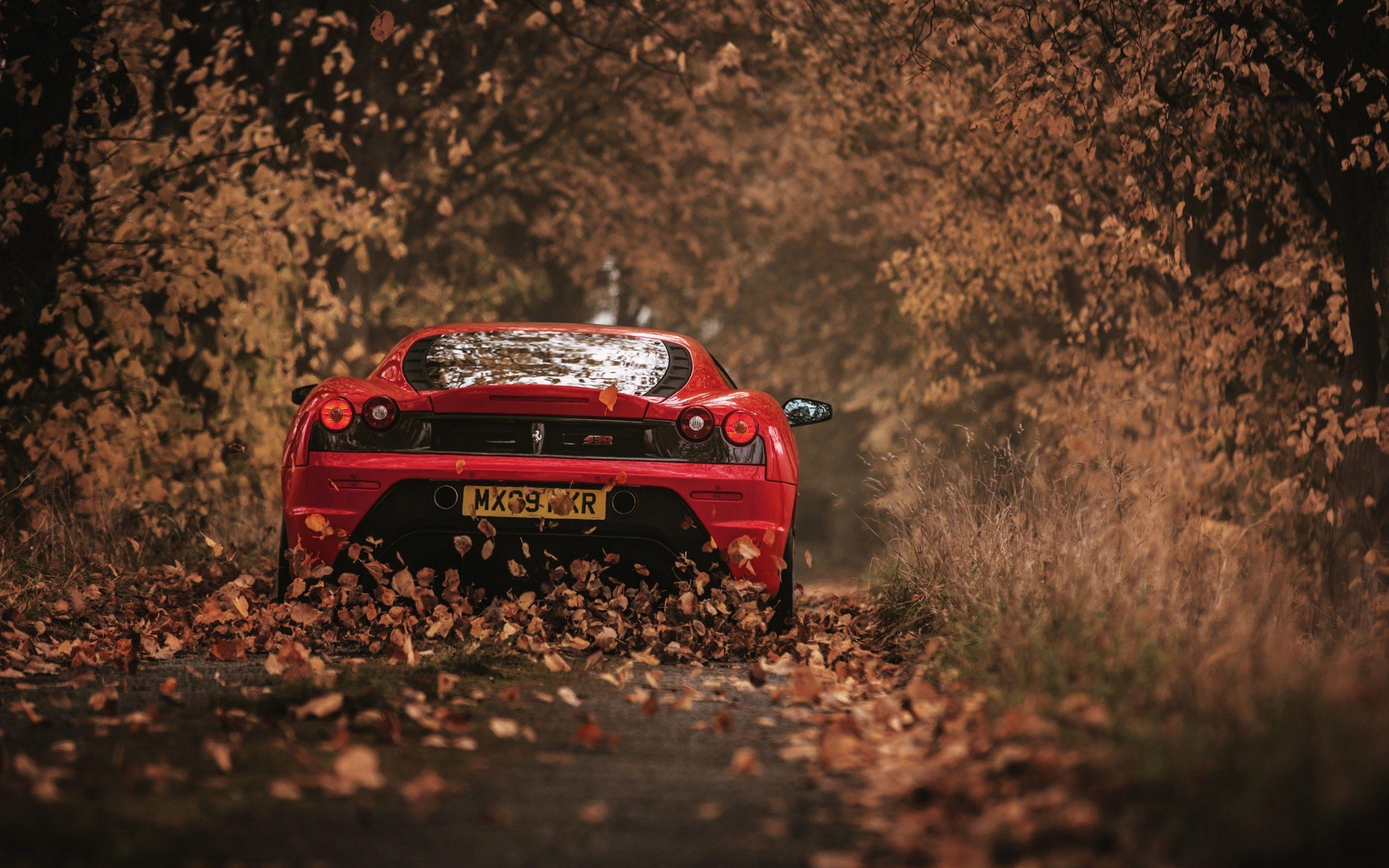 2560x1600 Scuderia Ferrari 2560x1600 Resolution HD 4k Wallpaper