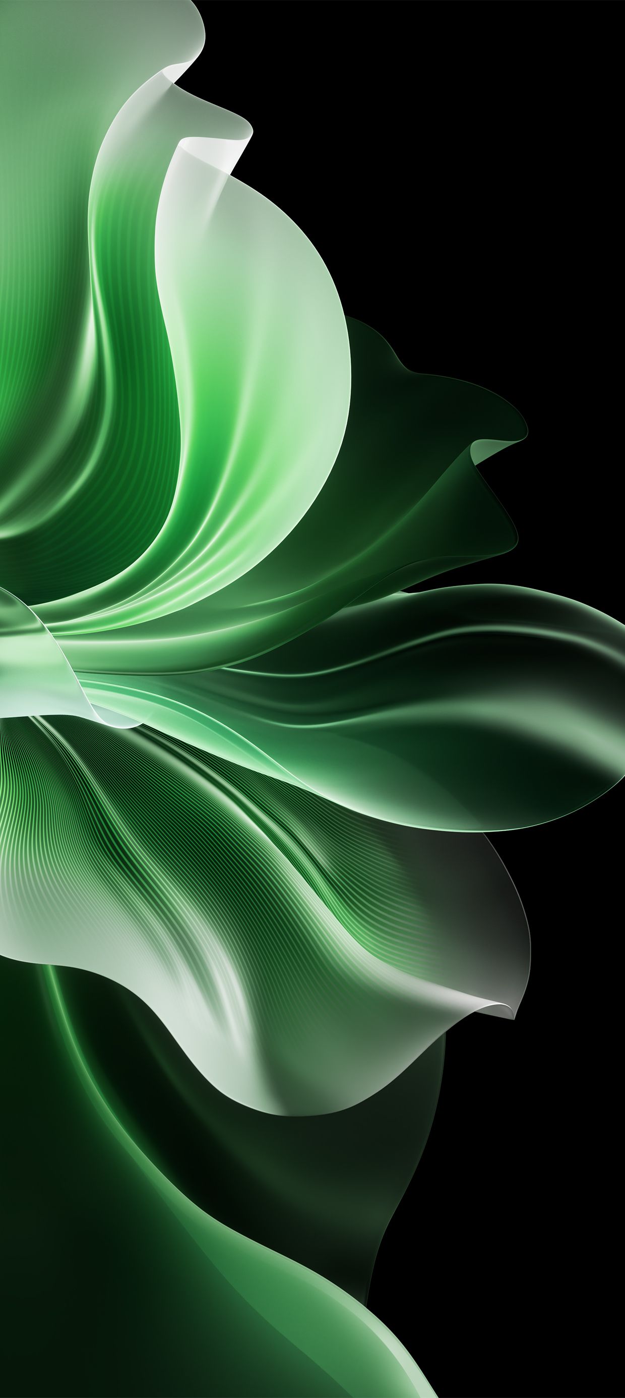 1240x2772 Oppo Reno 11 Pro Wallpaper and Background