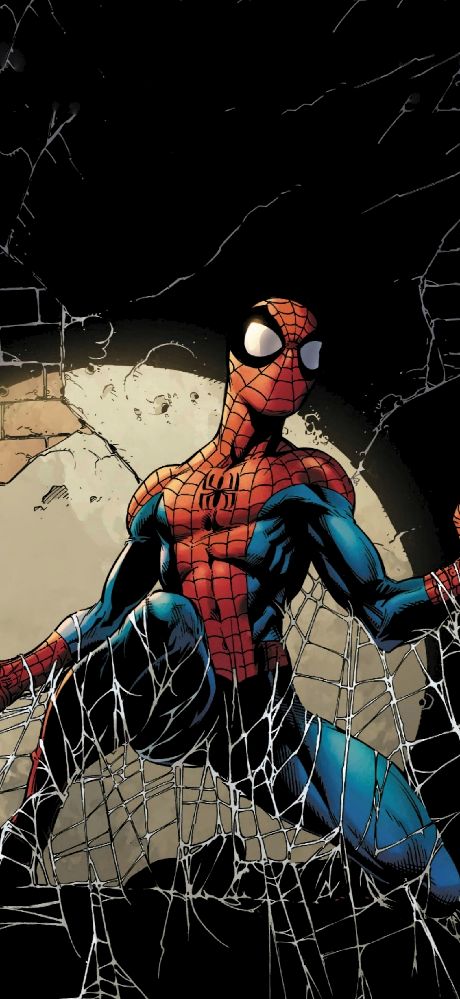 1591x3452 Spider Man Wallpaper (Amazing Spider Man Cover) [1591x3452]
