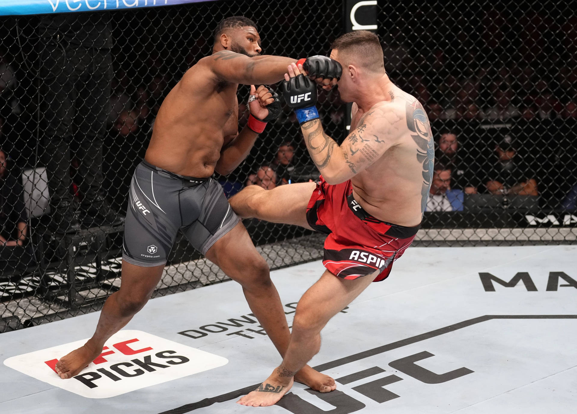 1920x1376 Download Tom Aspinall Taking A Fist Wallpaper