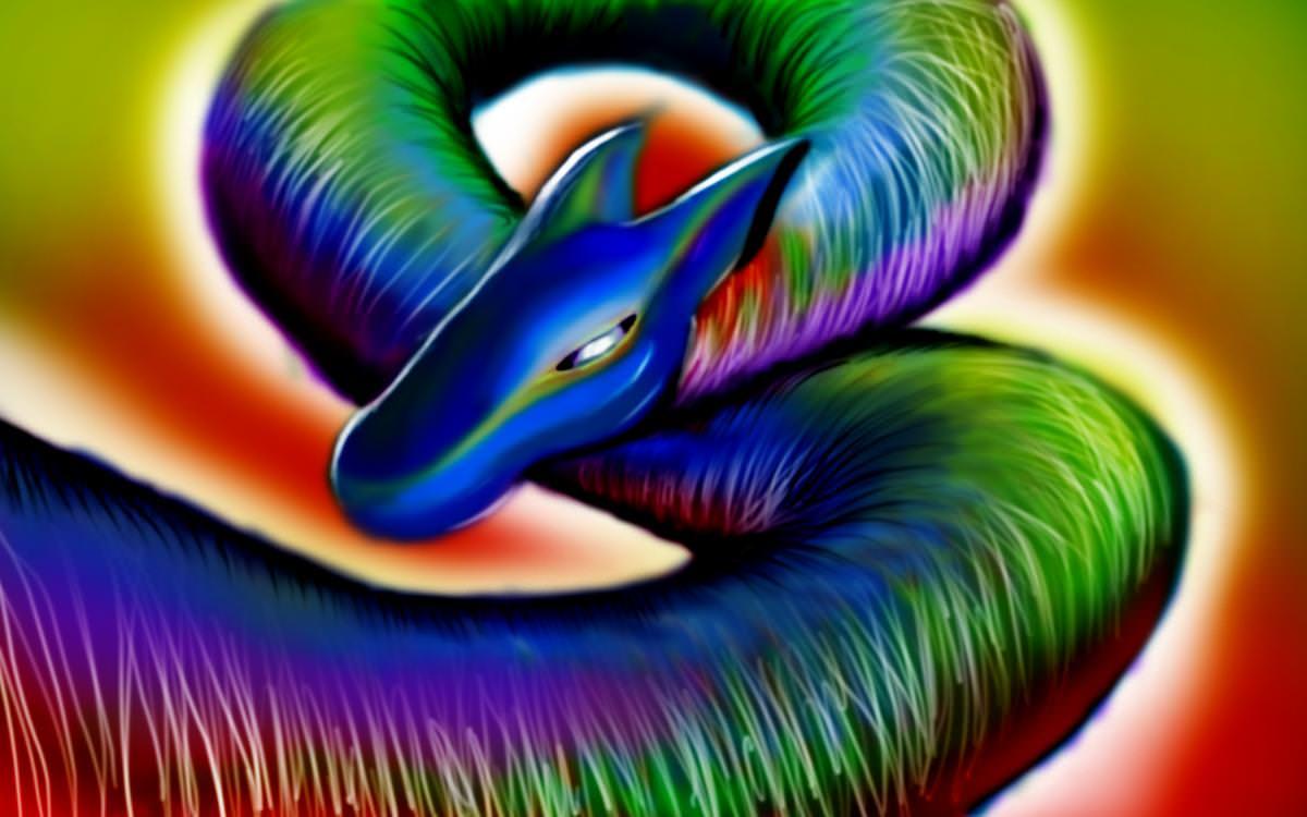 Rainbow Dragon Wallpaper