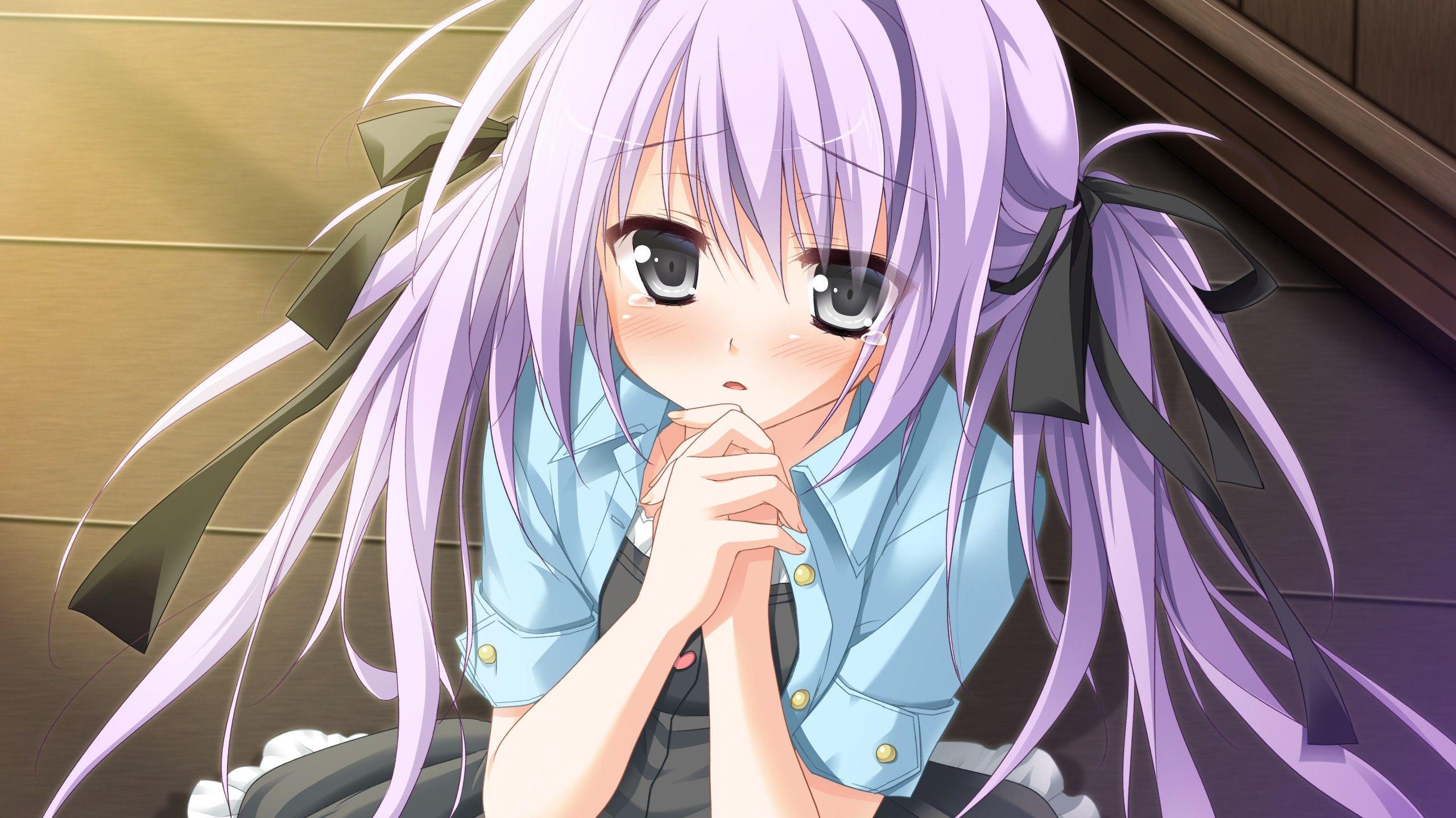 2560x1440 Free Purple Hair Wallpaper
