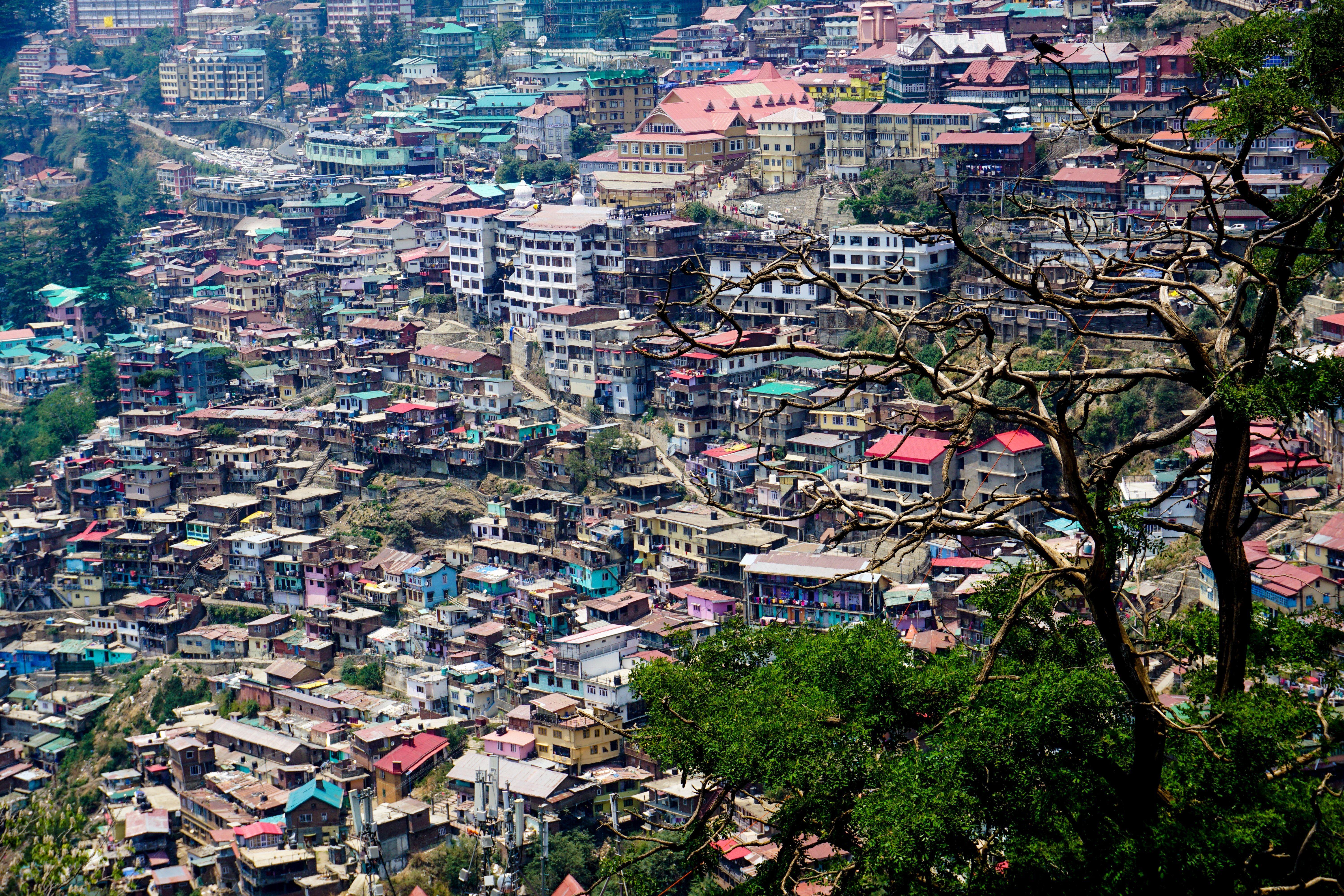 6000x4000 Free of Shimla