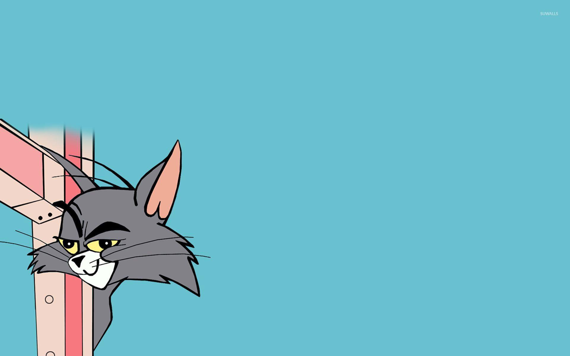 1920x1200 Tom and Jerry wallpaper wallpaper