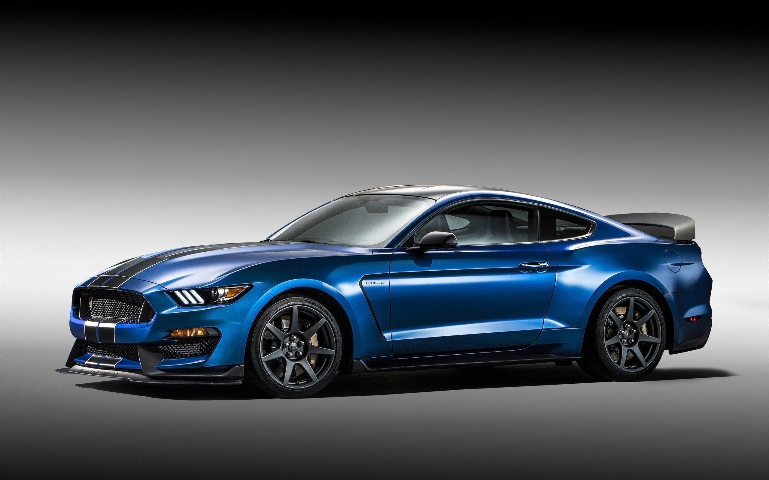 2560x1600 Shelby Mustang Wallpaper
