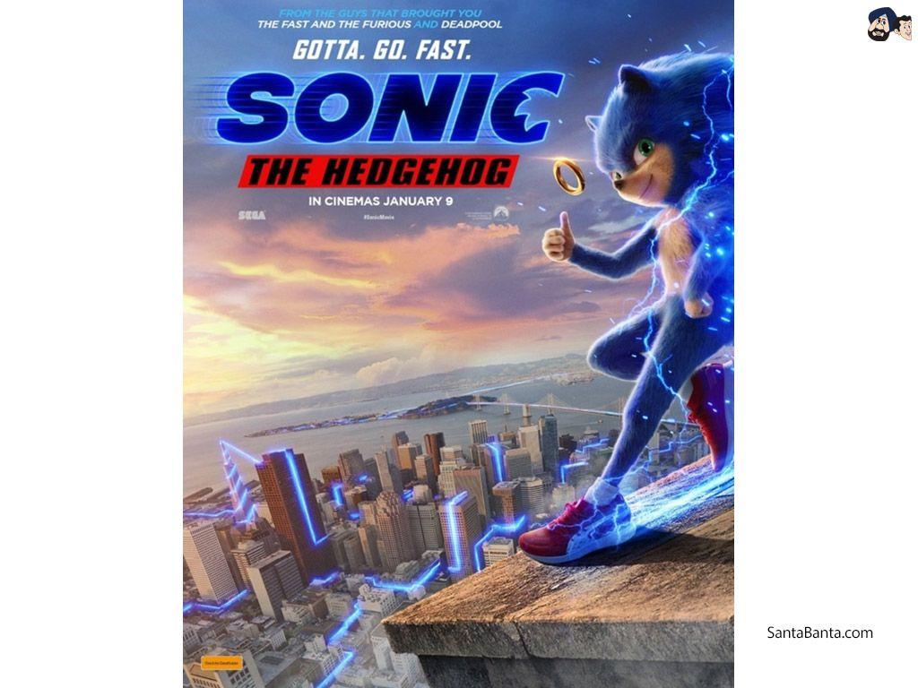 1024x768 Sonic The Hedgehog Movie Puma Shoes Wallpaper