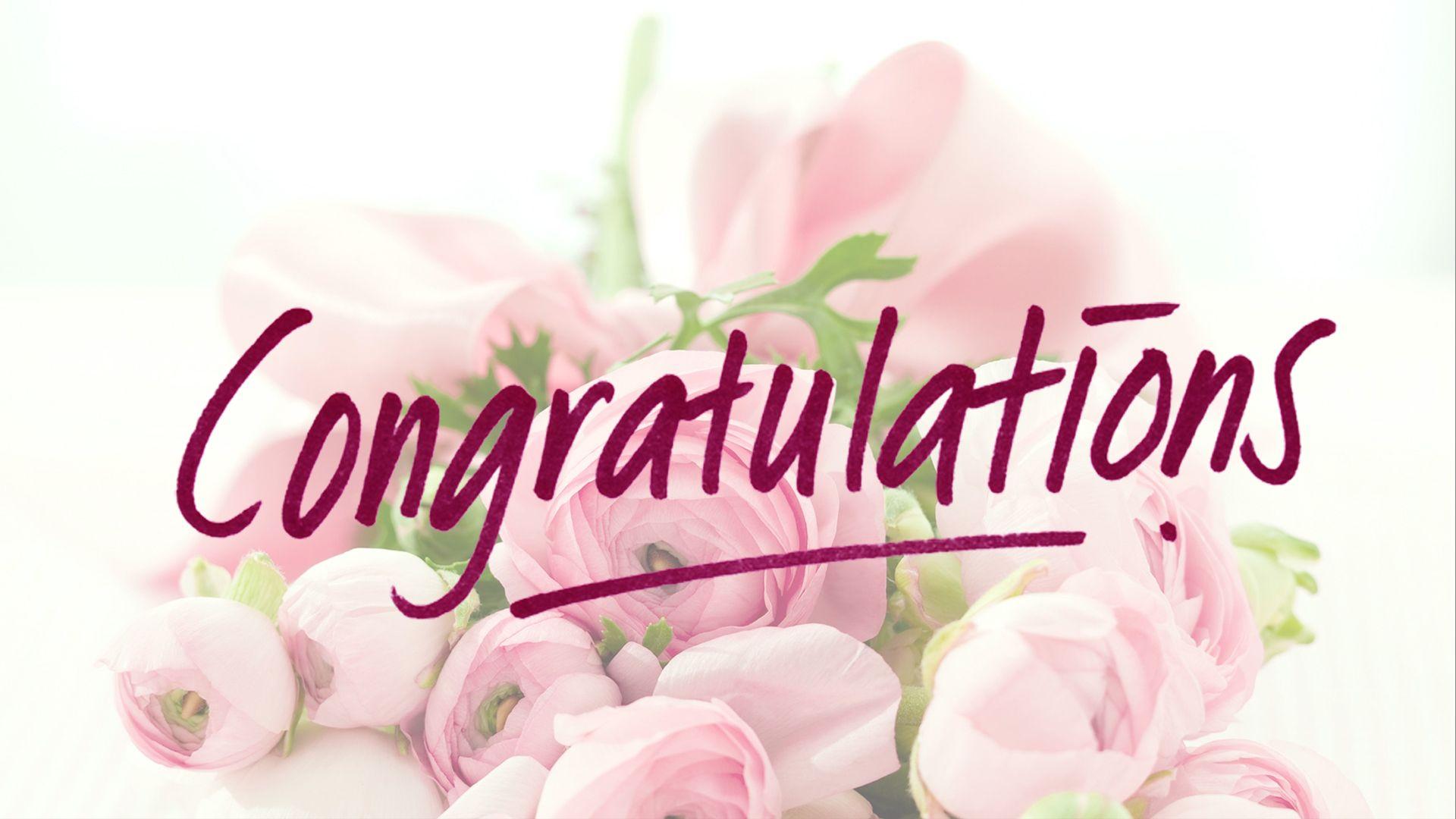 Congratulations text overlay Calligraphy Desktop Logo Font Computer  text computer Wallpaper cleaning png  PNGWing