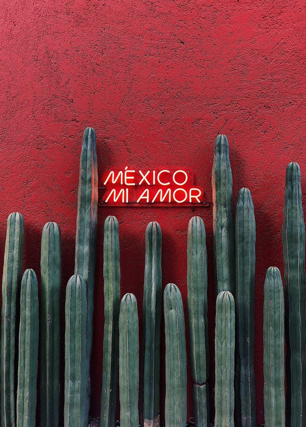 1000x1395 Hình ảnh Mexico tuyệt đẹp [Scenic Travel Photo].  Tải xuống hình ảnh miễn phí