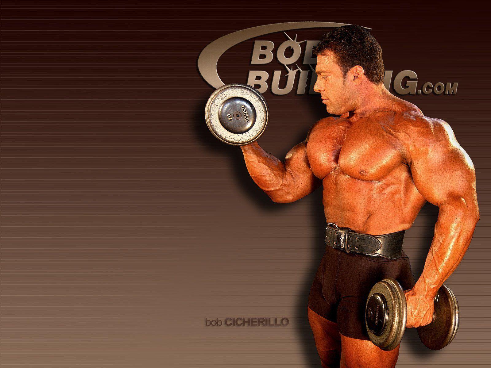1600x1200 IFBB Pro bodybuilders, NPC Bodybuilders, National Physique