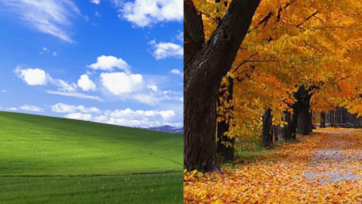 Windows XP Autumn Wallpapers - Top Free Windows XP Autumn Backgrounds -  WallpaperAccess