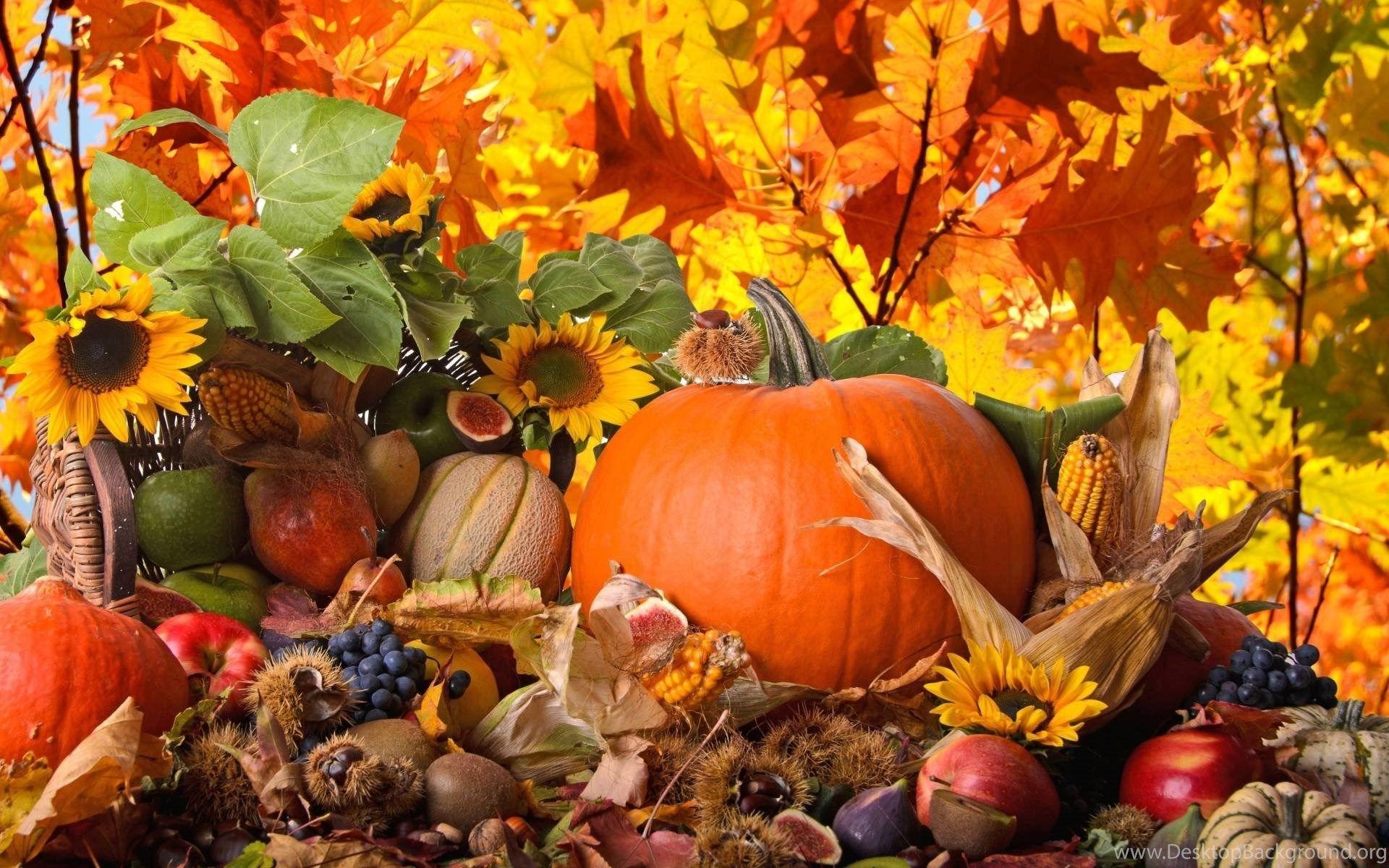 1920x1200 Thanksgiving 3D Wallpaper Desktop Background