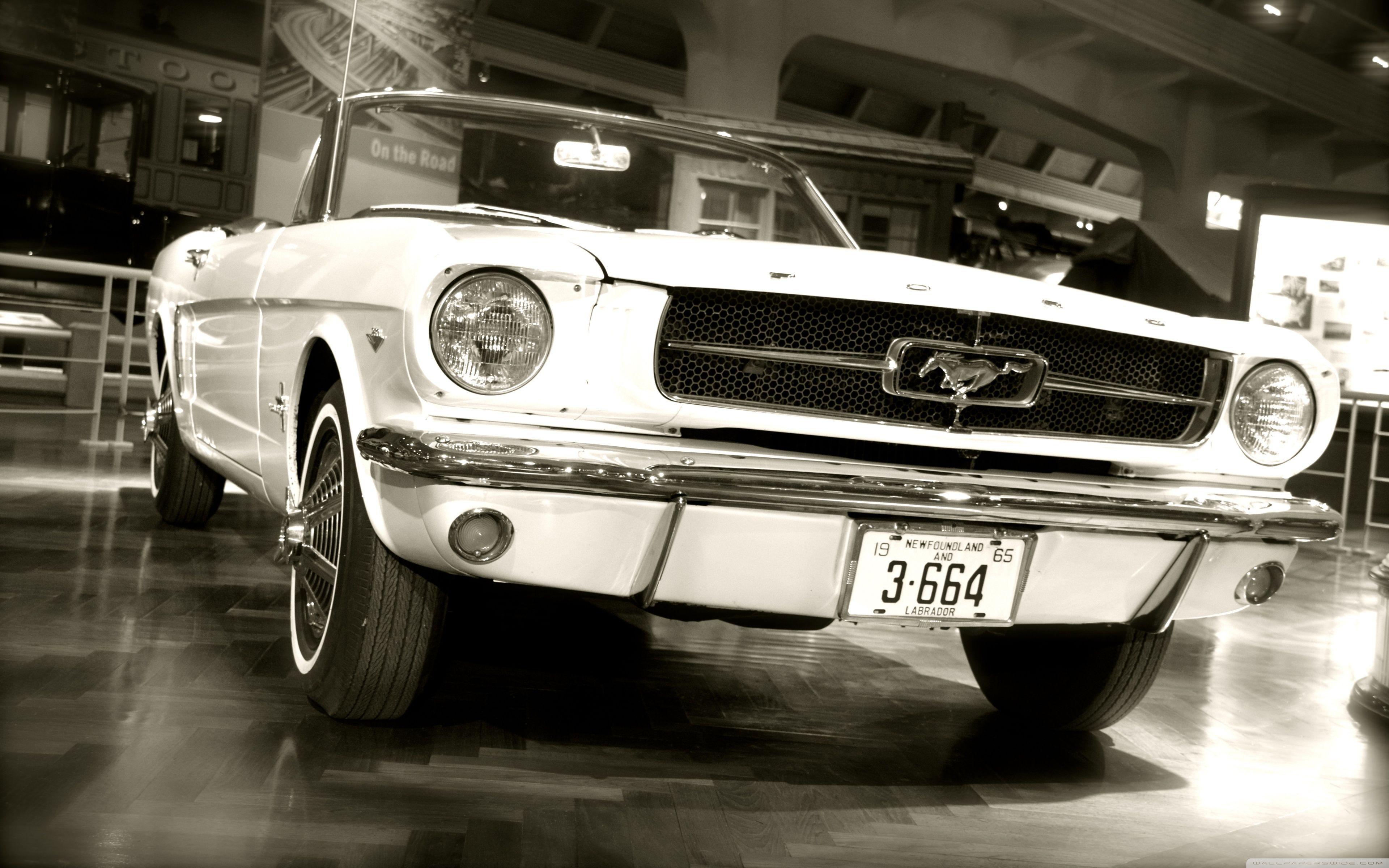 3840x2400 Mustang!!! Ultra HD Desktop Background Wallpaper for 4K UHD