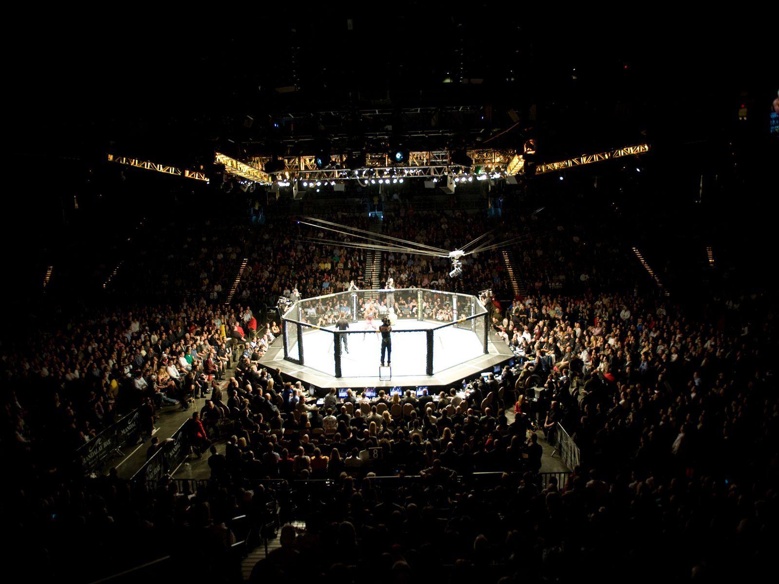 1600x1200 EA SPORTS UFC Wallpaper 720×486 Ufc Wallpaper 58 Wallpaper