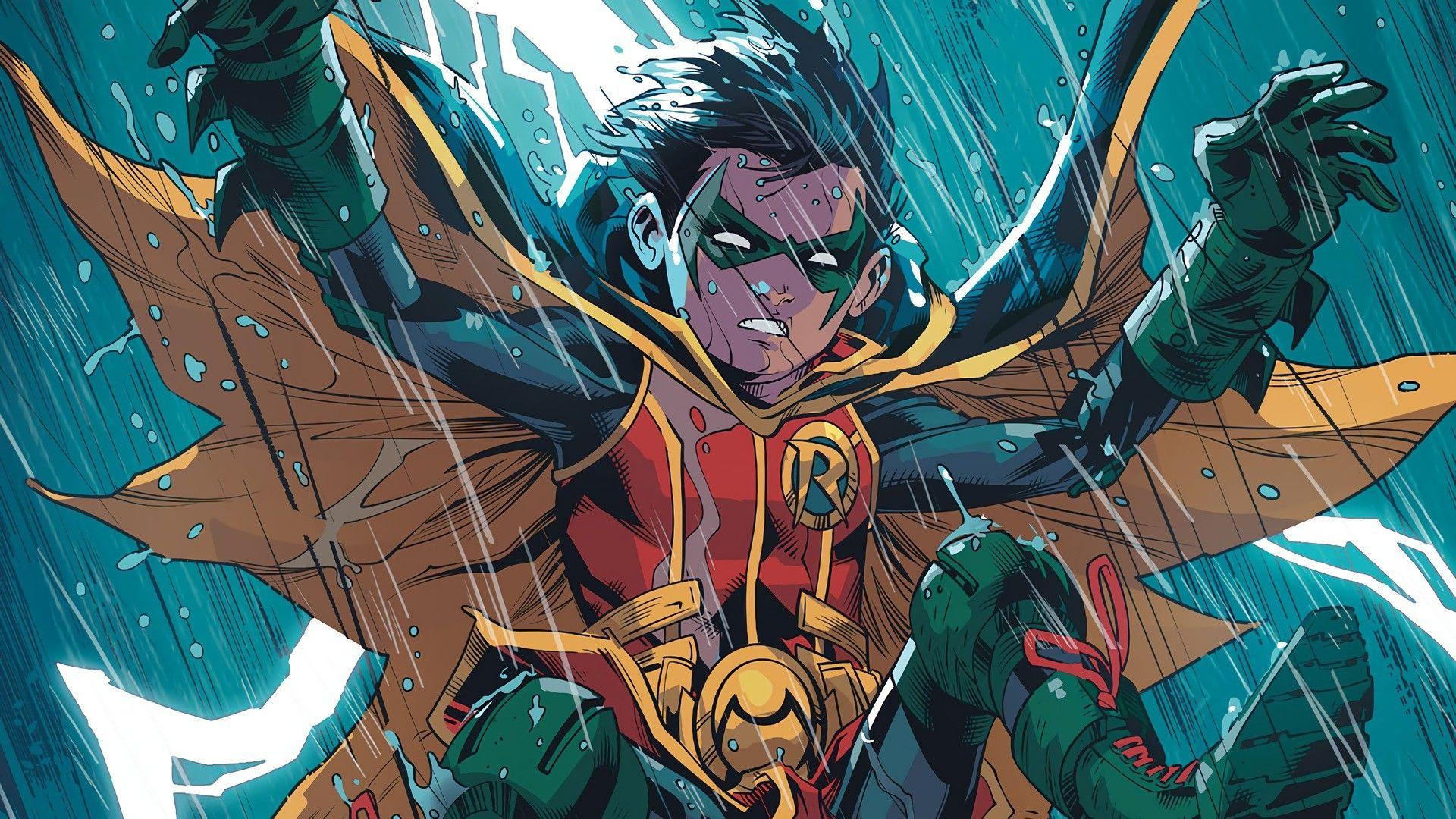 1920x1080 Robin Wallpaper DC