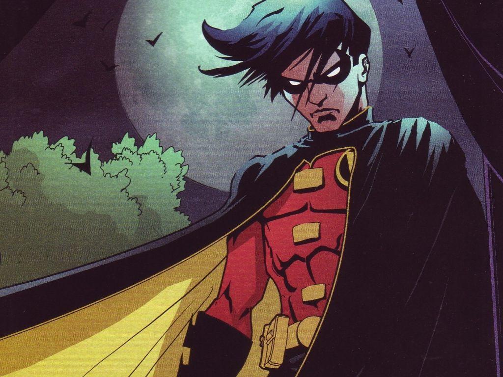 1024x768 Robin Wallpaper DC