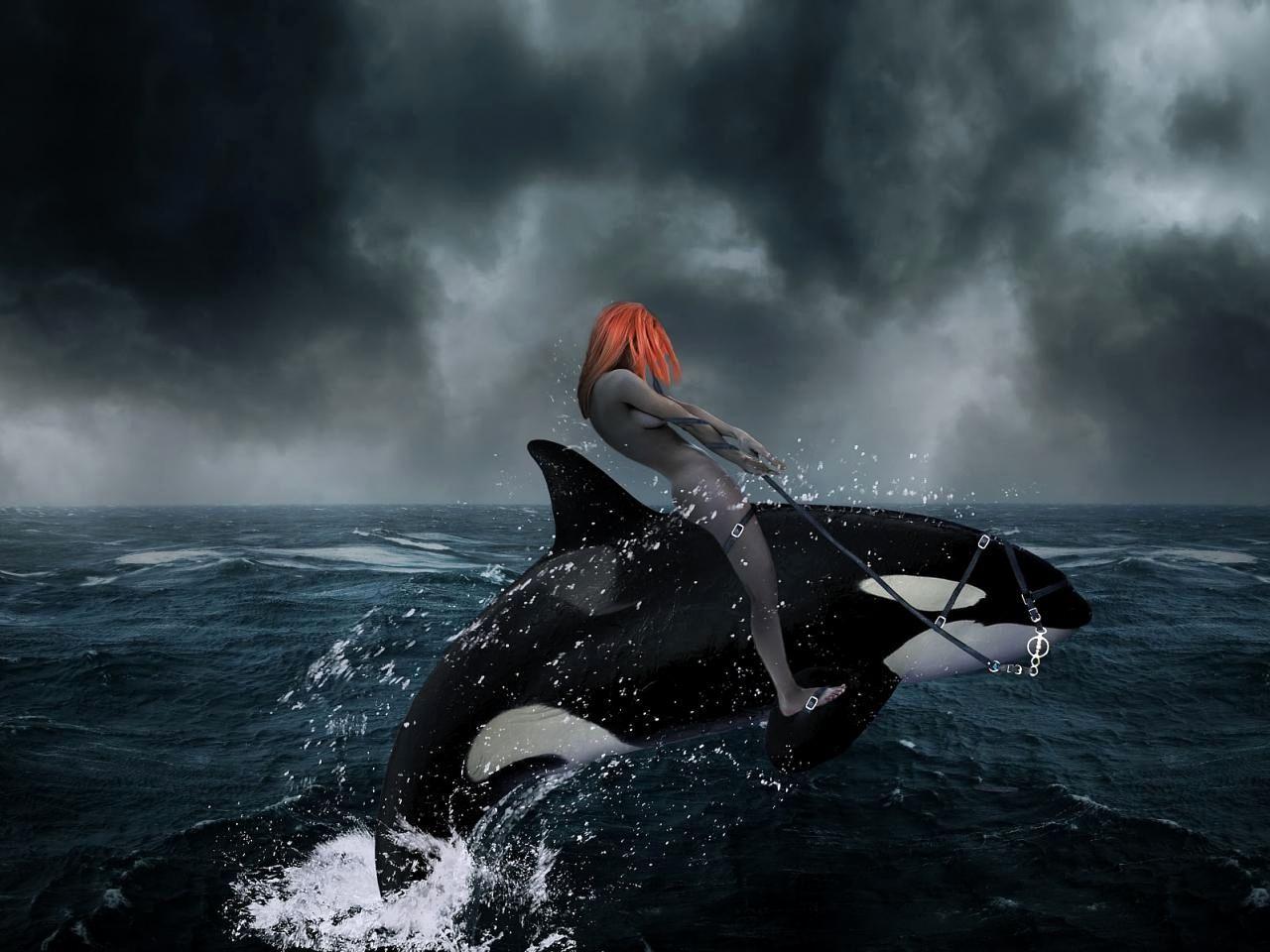 1280x960 Orca Wallpaper Fresh Killer Whales Wallpaper