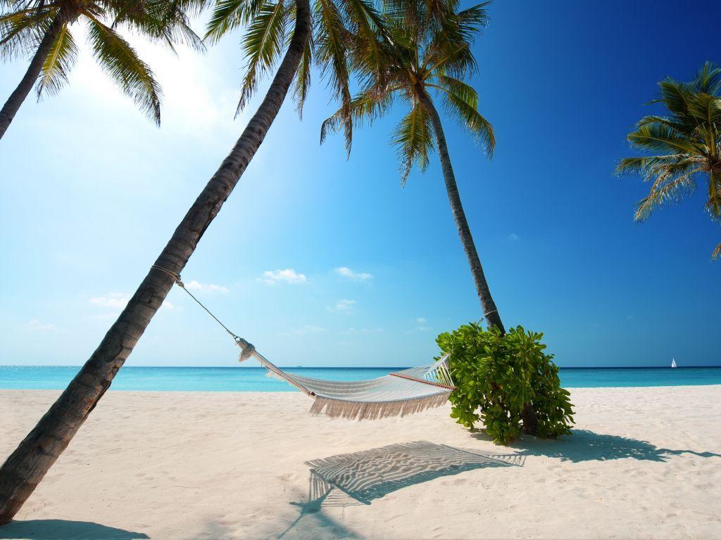 1024x768 hammock 4K wallpaper for your desktop or mobile screen free