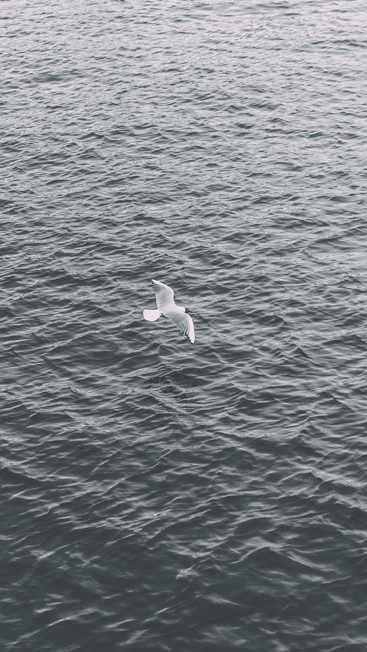 736x1308 Take a Chill Pill with 10 Mindful iPhone Wallpaper. Preppy