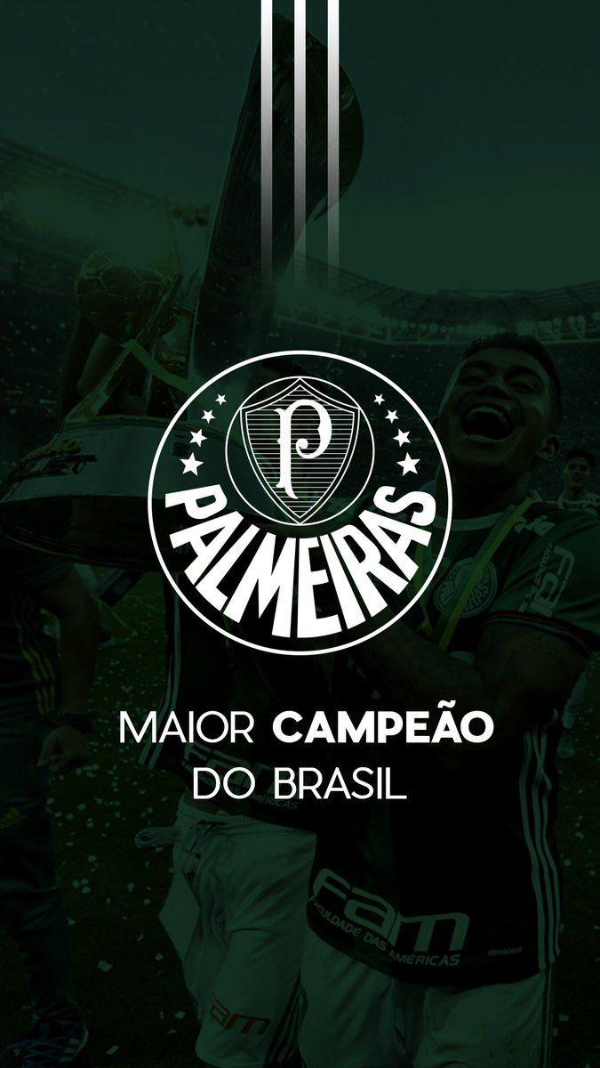 675x1200 Palmeiras Hình nền, Hình ảnh