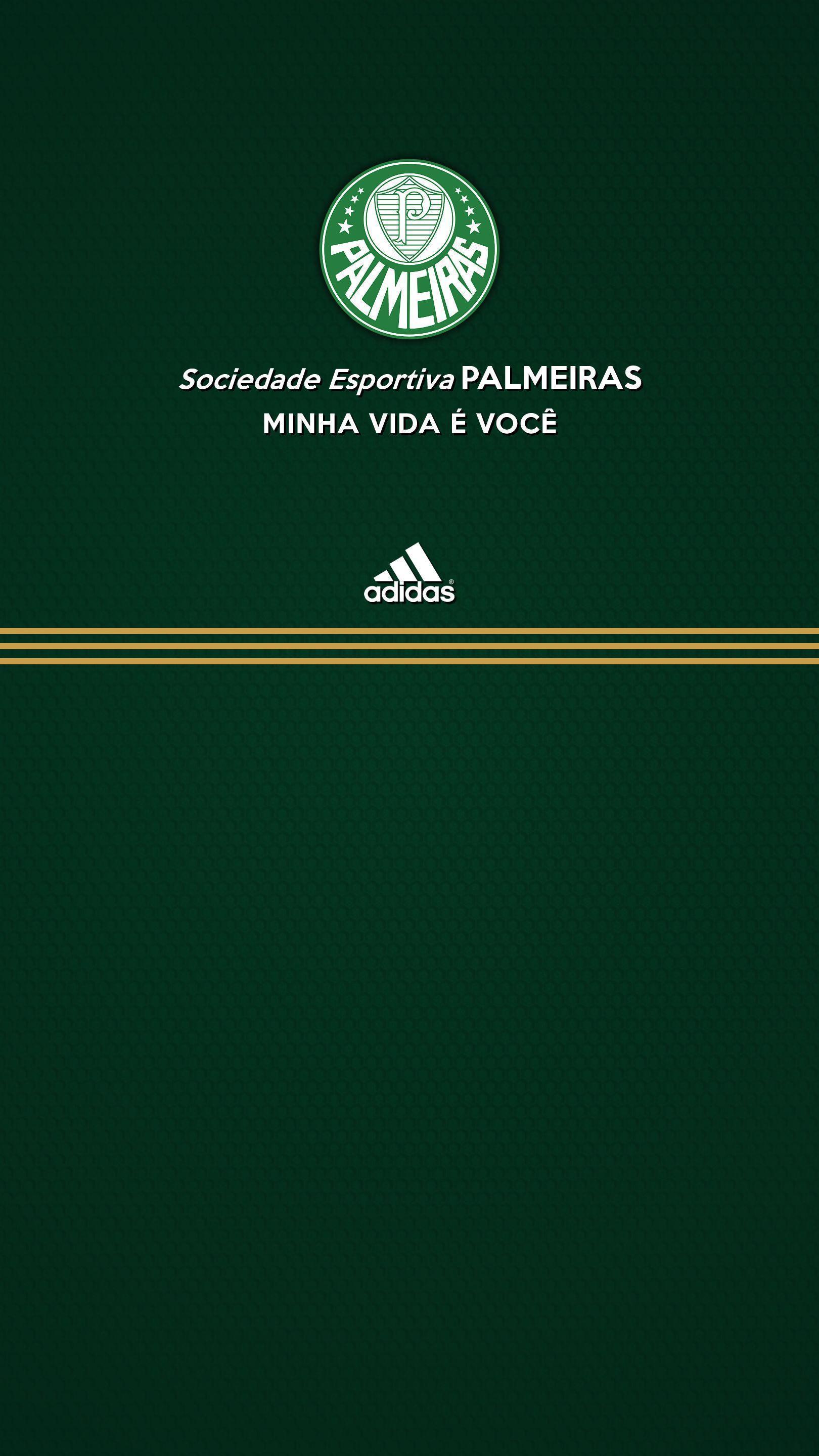 1620x2880 Palmeiras hình nền