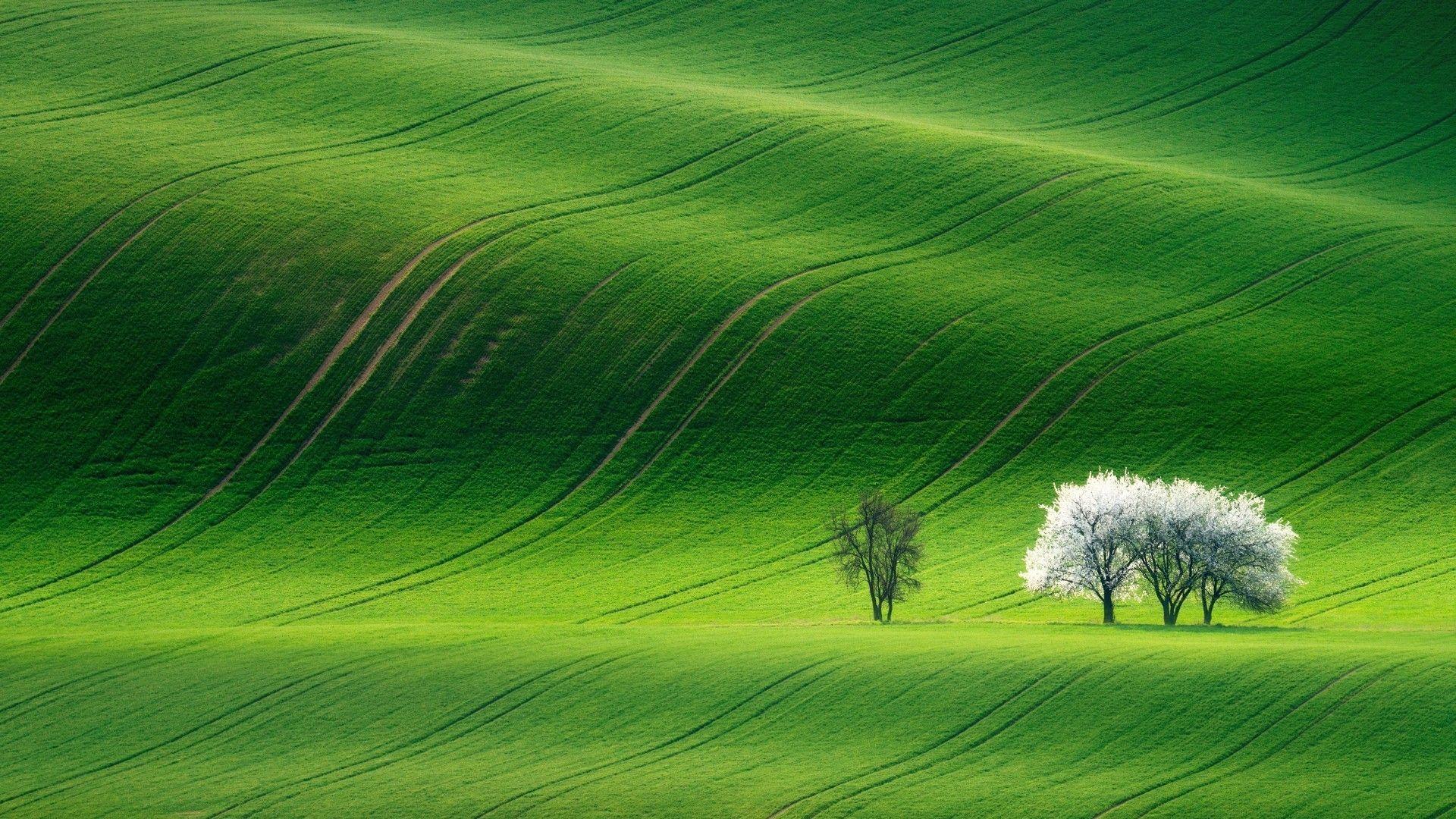 HD Green Landscape Wallpapers - Top Free HD Green Landscape Backgrounds -  WallpaperAccess