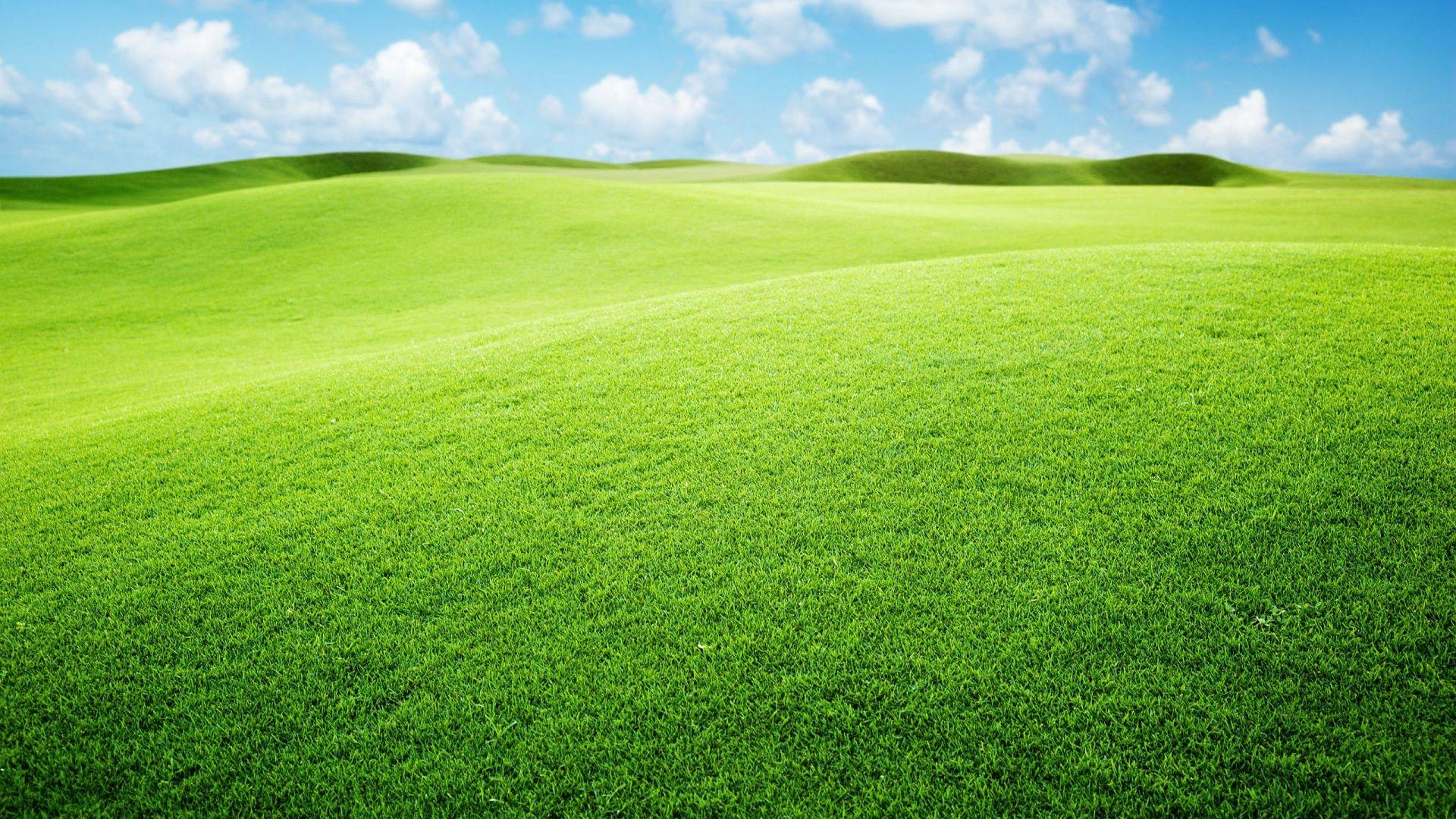 Green Landscape Wallpapers - Top Free Green Landscape Backgrounds