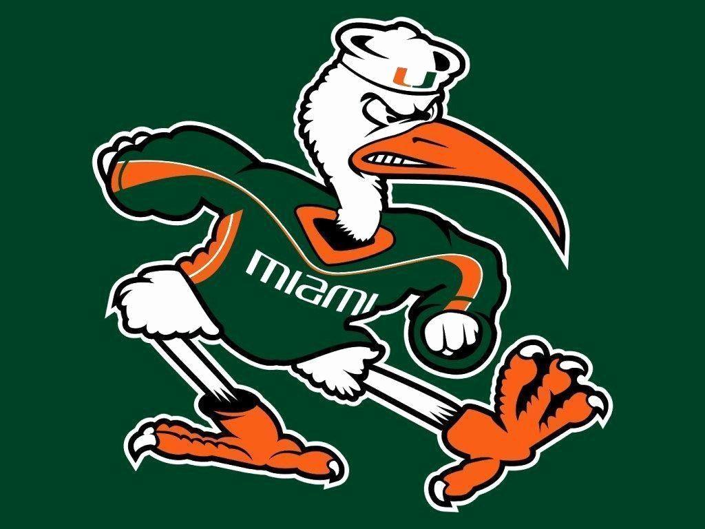 Miami Hurricanes Wallpapers Top Free Miami Hurricanes Backgrounds Wallpaperaccess