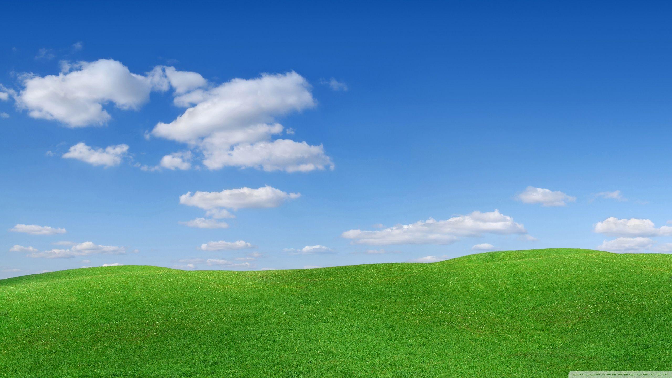 2560x1440 Green Hills Scenery Ultra HD Desktop Background Wallpaper