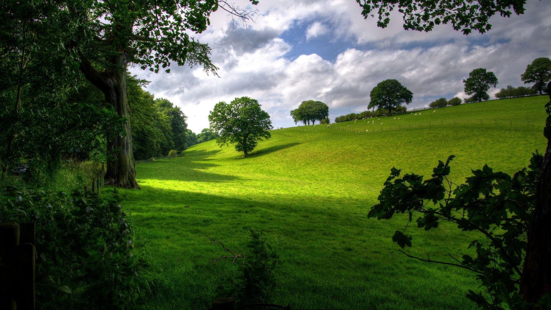 Green Landscape Wallpapers - Top Free Green Landscape Backgrounds