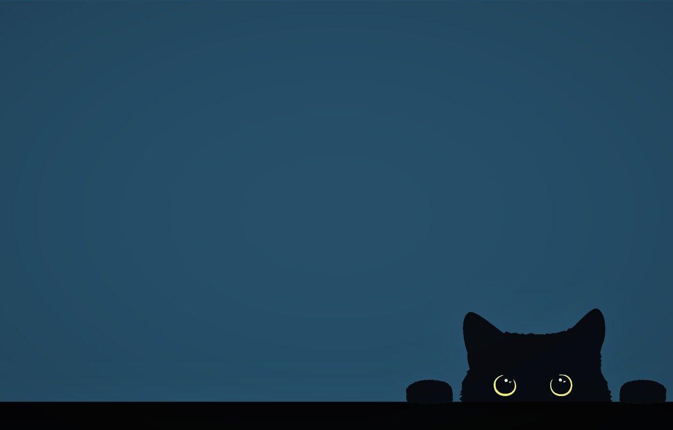 Minimal Cat Wallpapers - Top Free Minimal Cat Backgrounds - WallpaperAccess