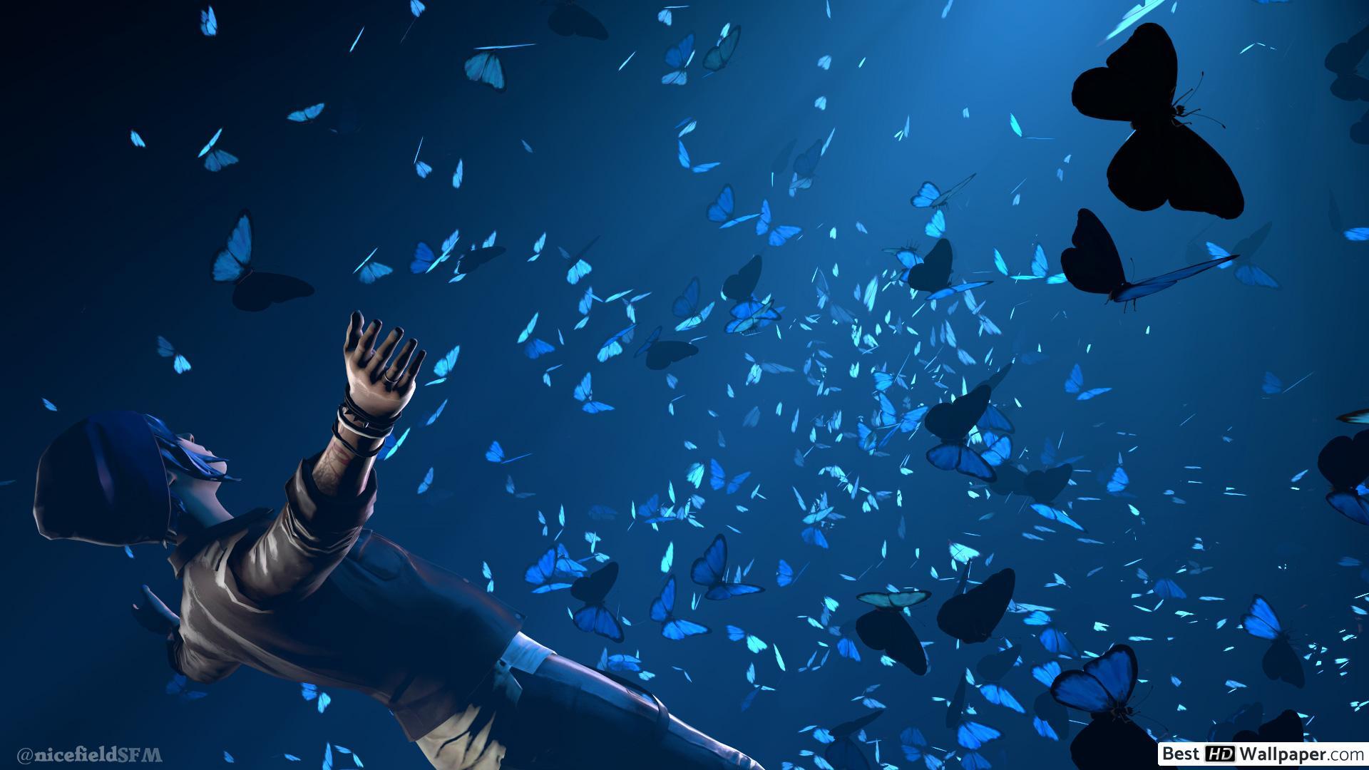 1920x1080 Life Is Strange 2 Butterflies HD wallpaper download